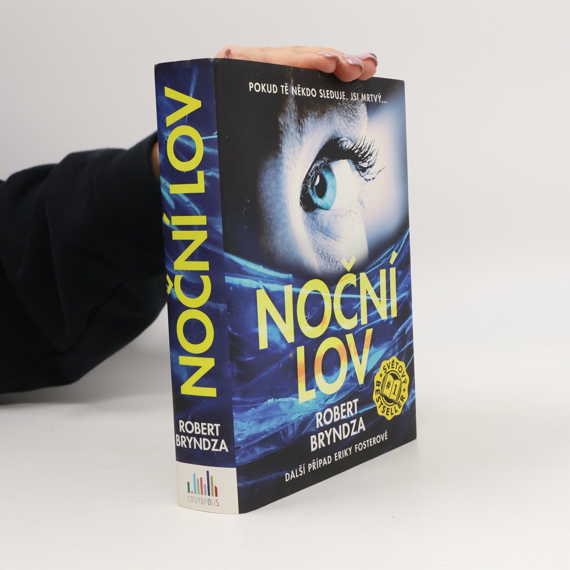 Robert Bryndza Noční lov
