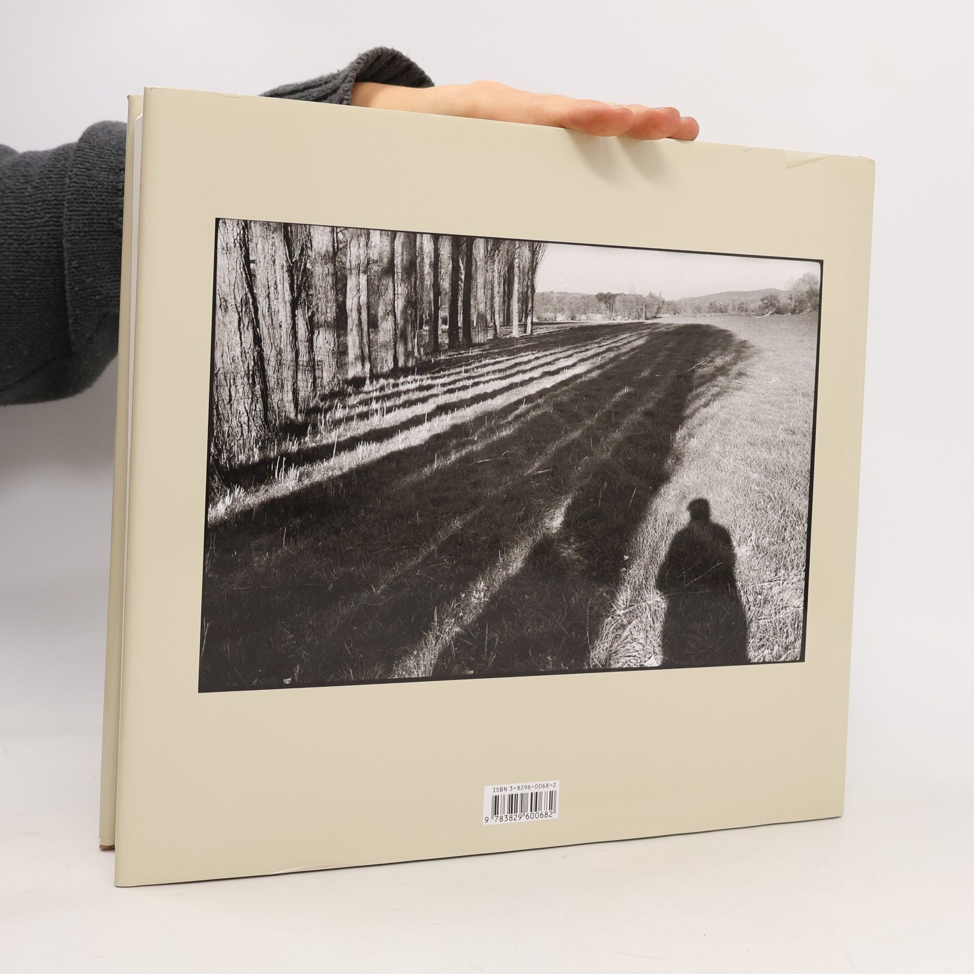 Philippe Arbai zar Wer sind Sie, Henri Cartier-Bresson?