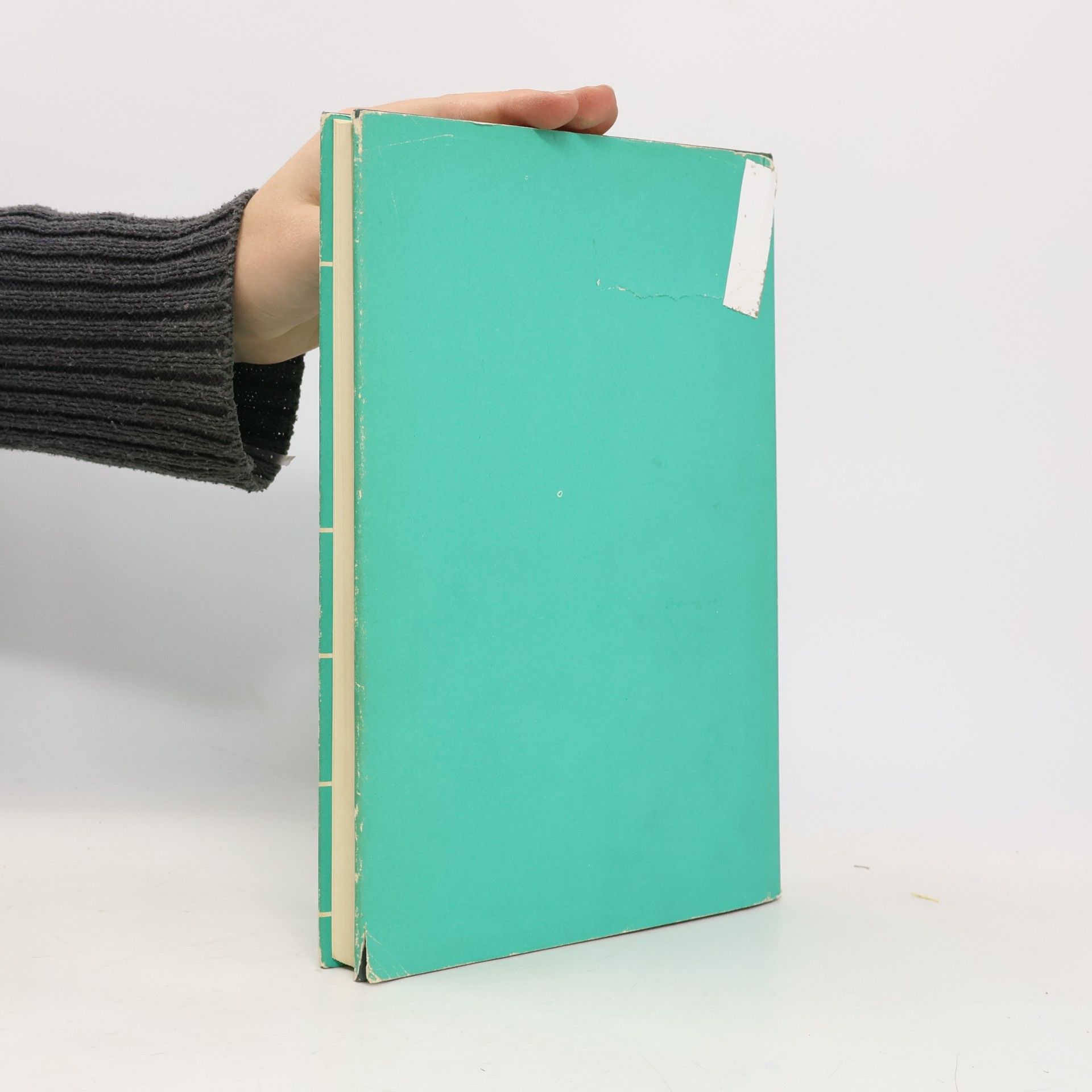 Ludwig Demling Der kranke Magen