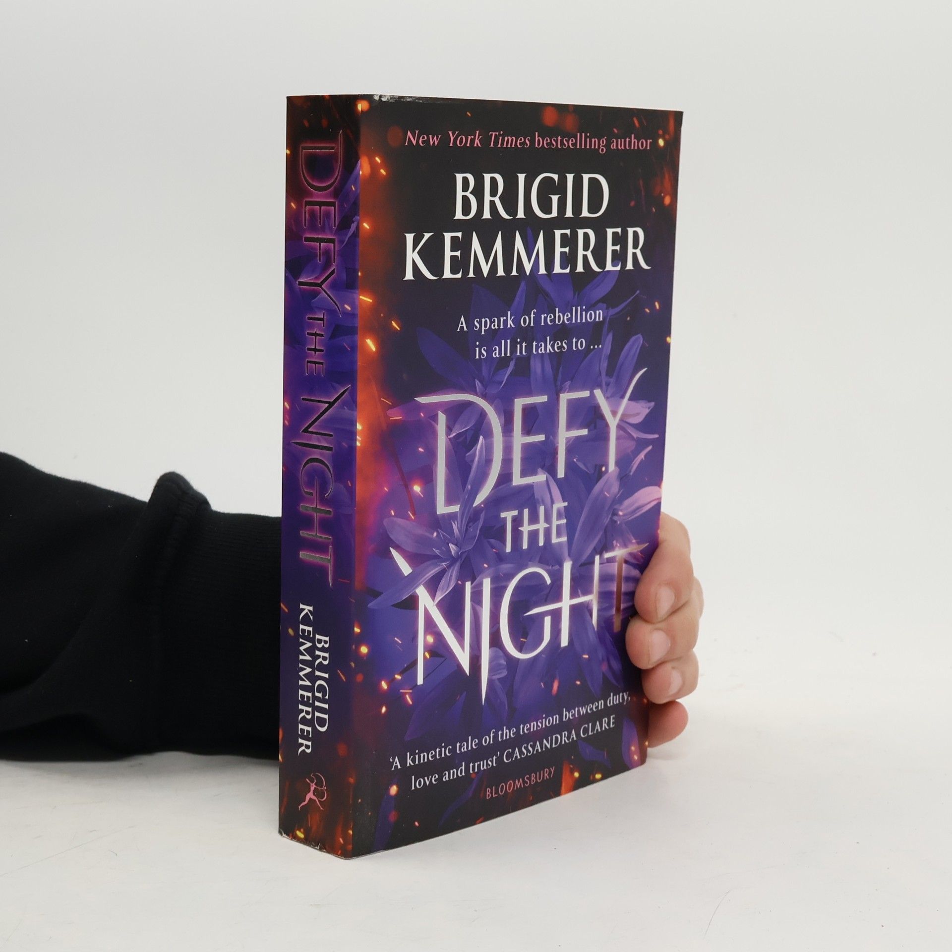 Brigid Kemmerer Defy The Night