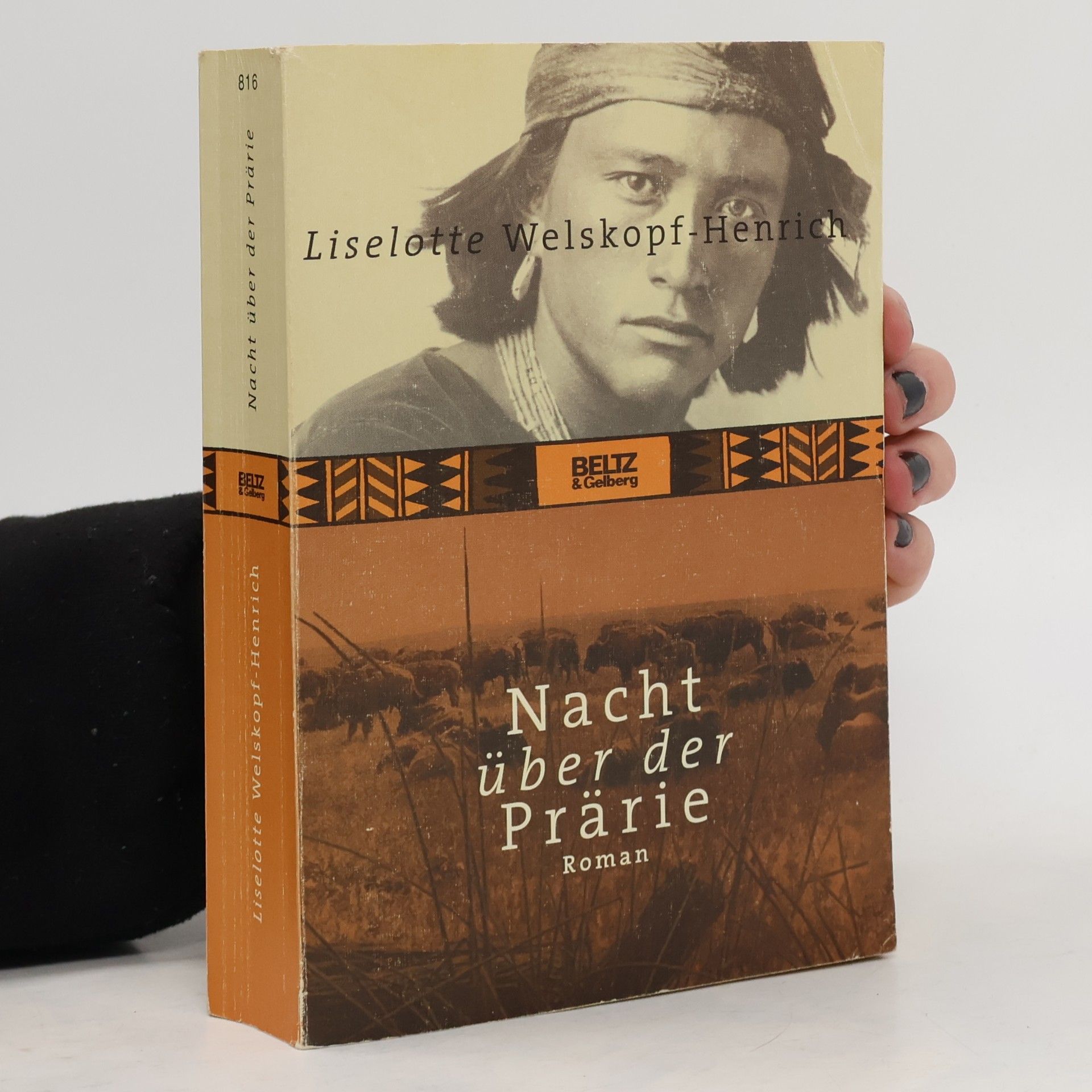 Liselotte Welskopf-Henrich Nacht über der Prärie
