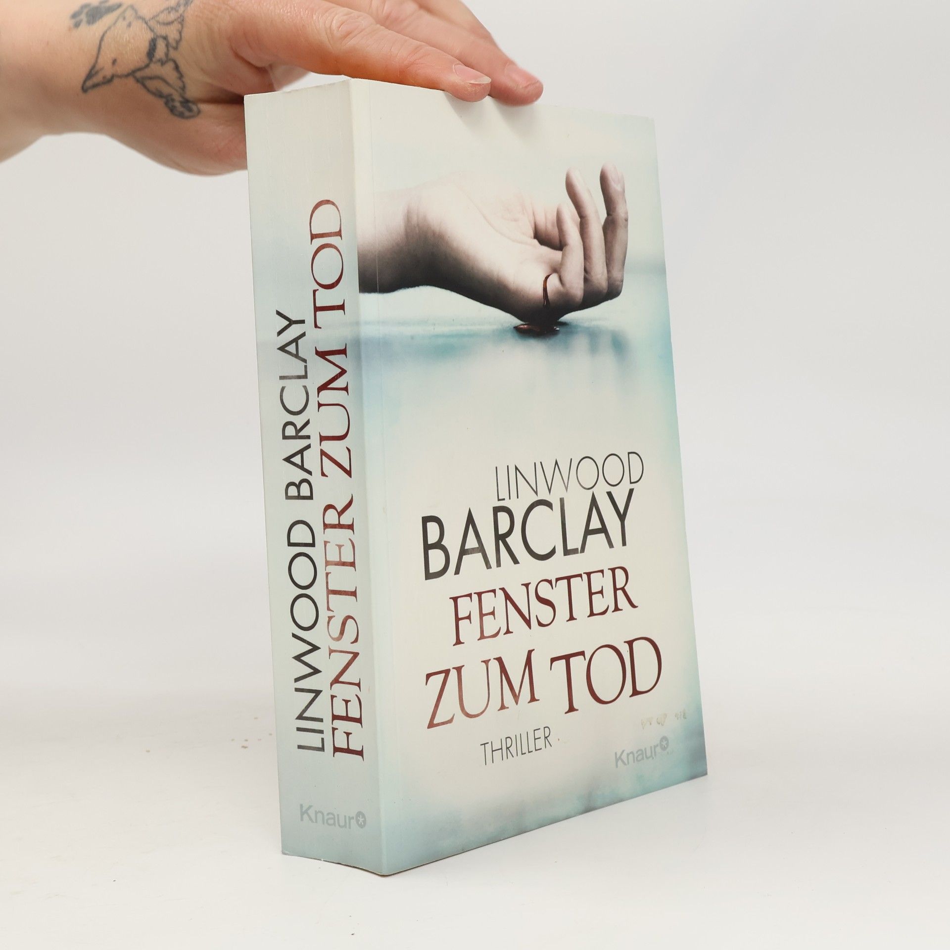 Linwood Barclay Fenster zum Tod
