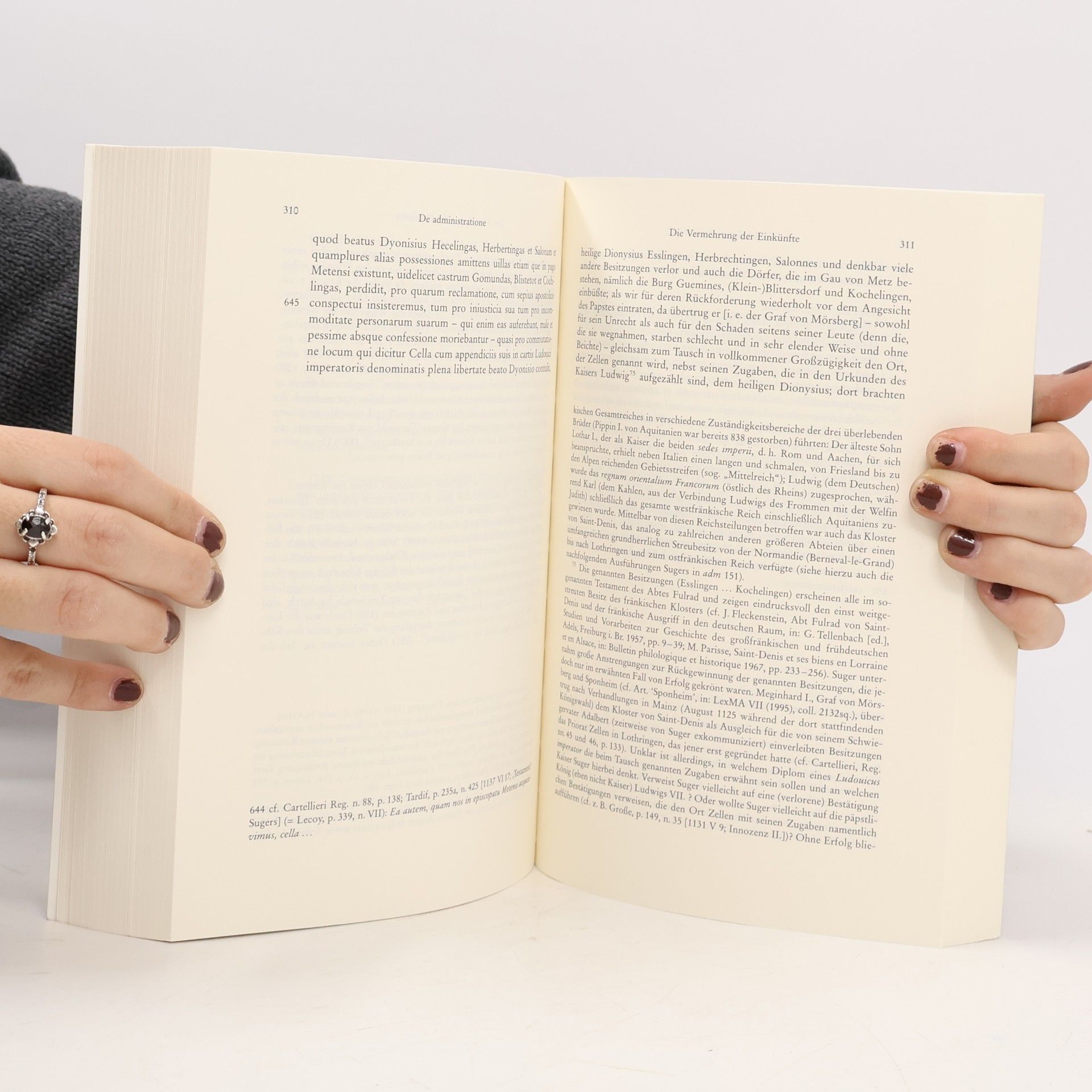 Andreas Speer Abt Suger von Saint-Denis