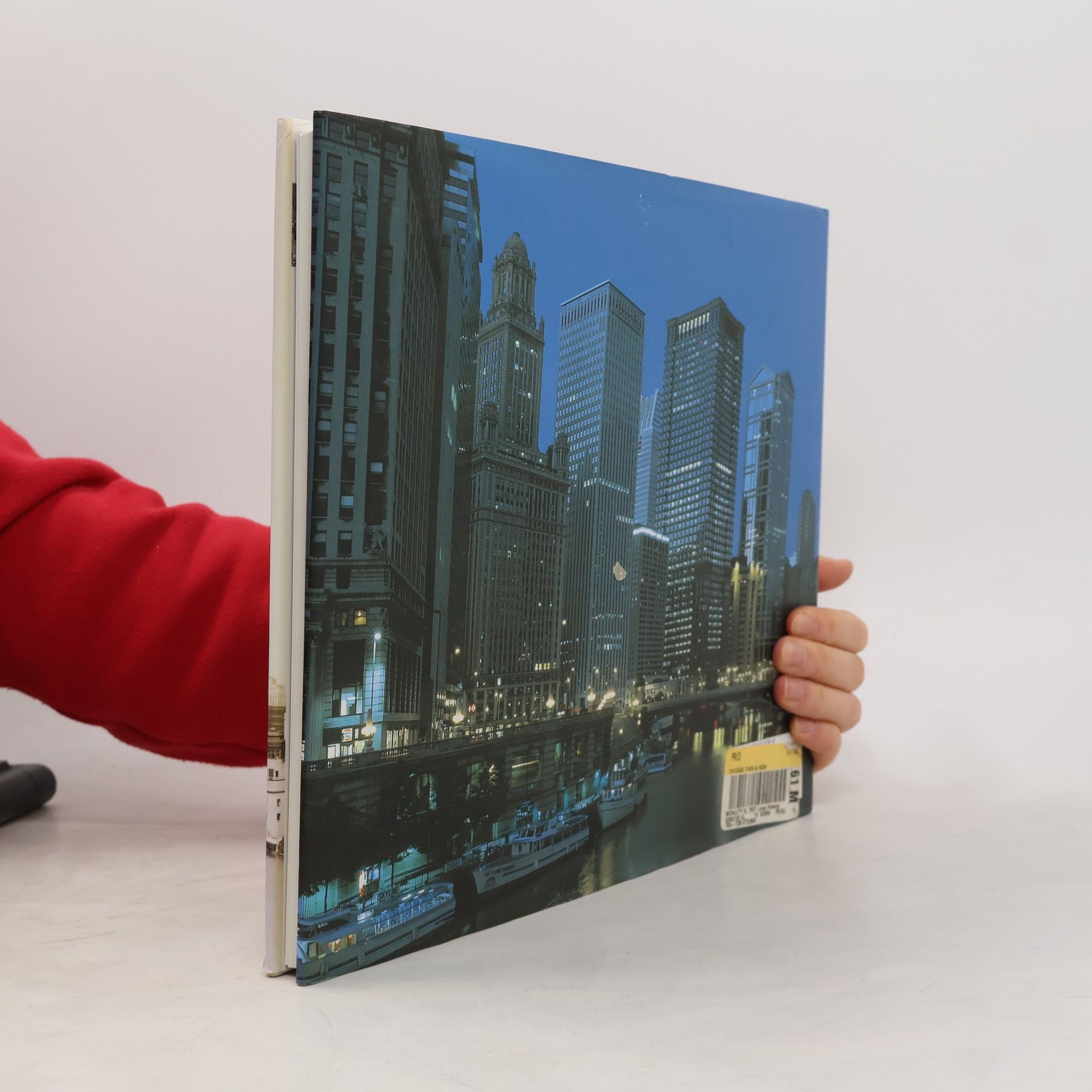 Elizabeth McNulty Chicago Then & Now