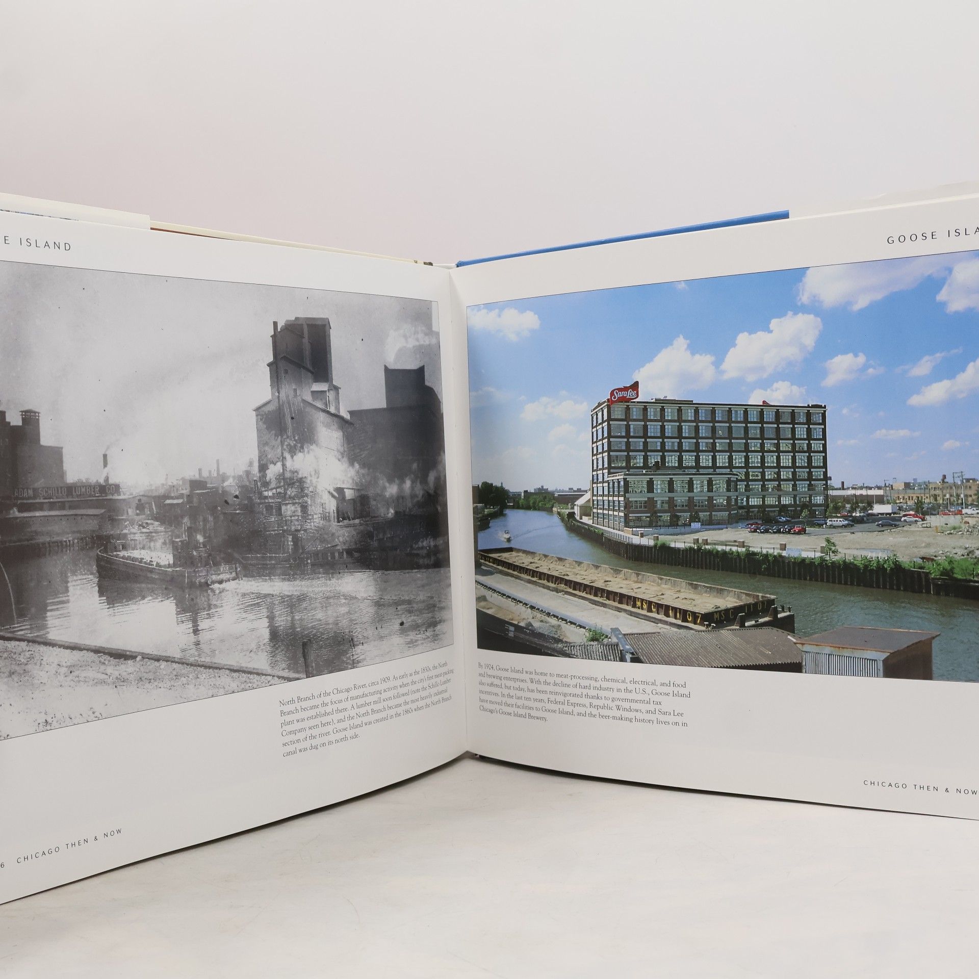 Elizabeth McNulty Chicago Then & Now