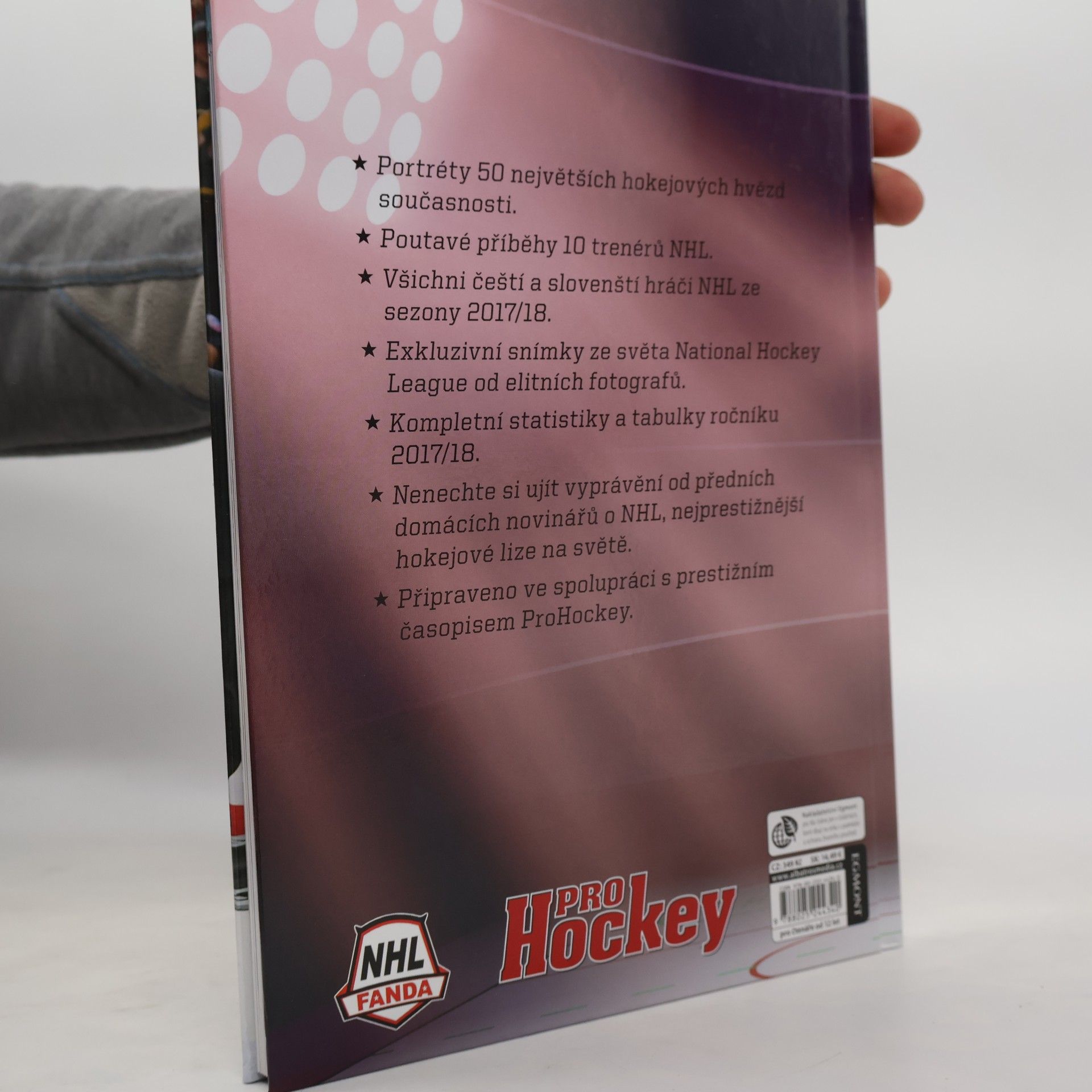 Autorenkollektiv Hvězdy NHL 2019 + Češi a Slováci v NHL