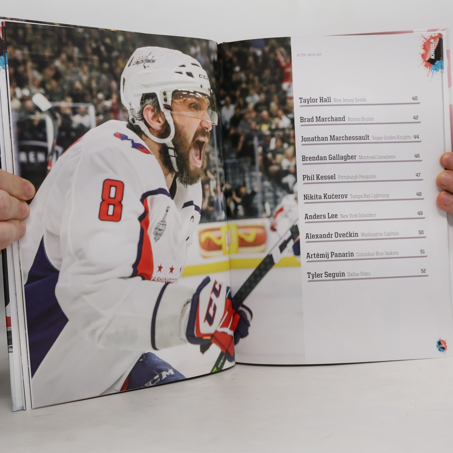 Autorenkollektiv Hvězdy NHL 2019 + Češi a Slováci v NHL