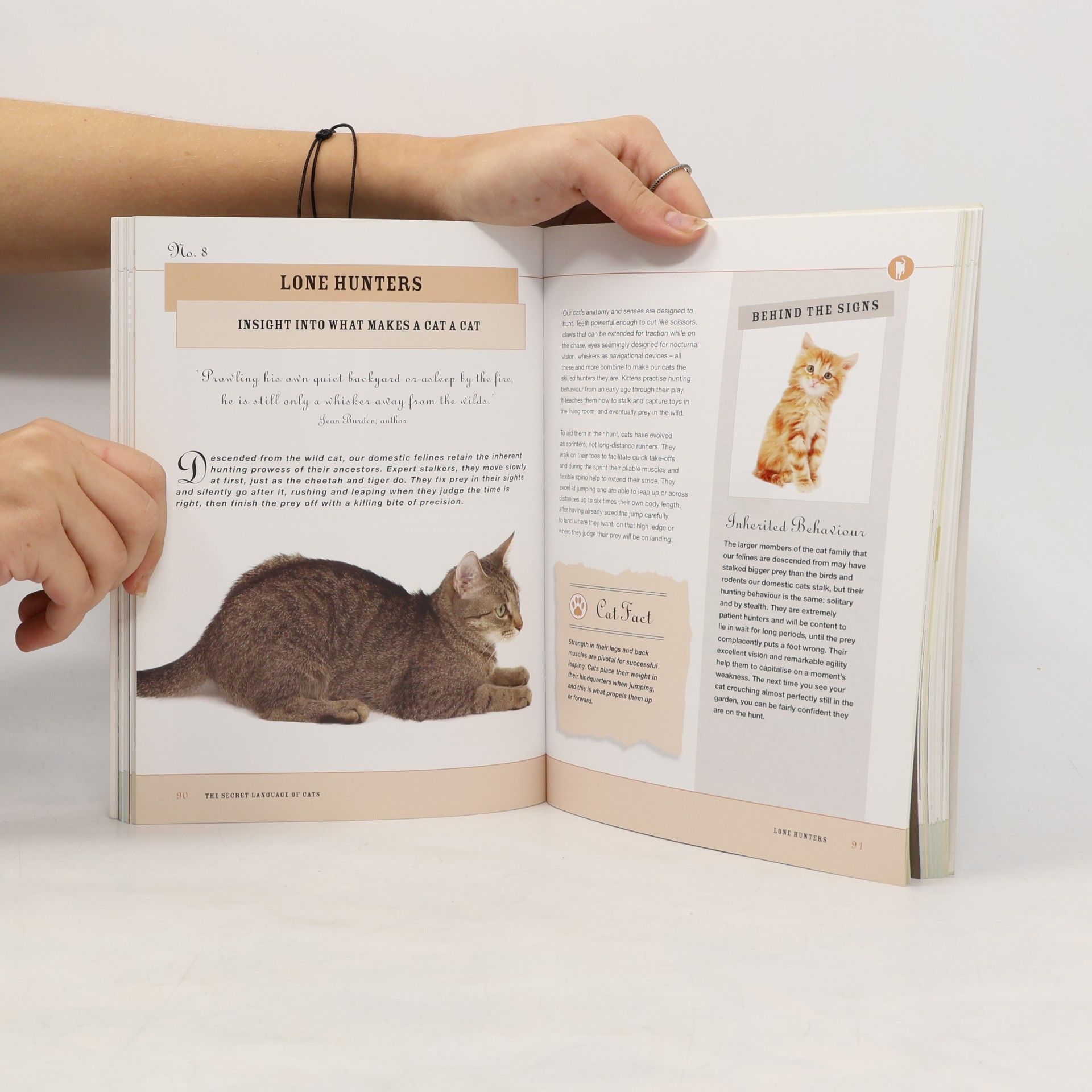 Heather Dunphy The Secret Language of Cats