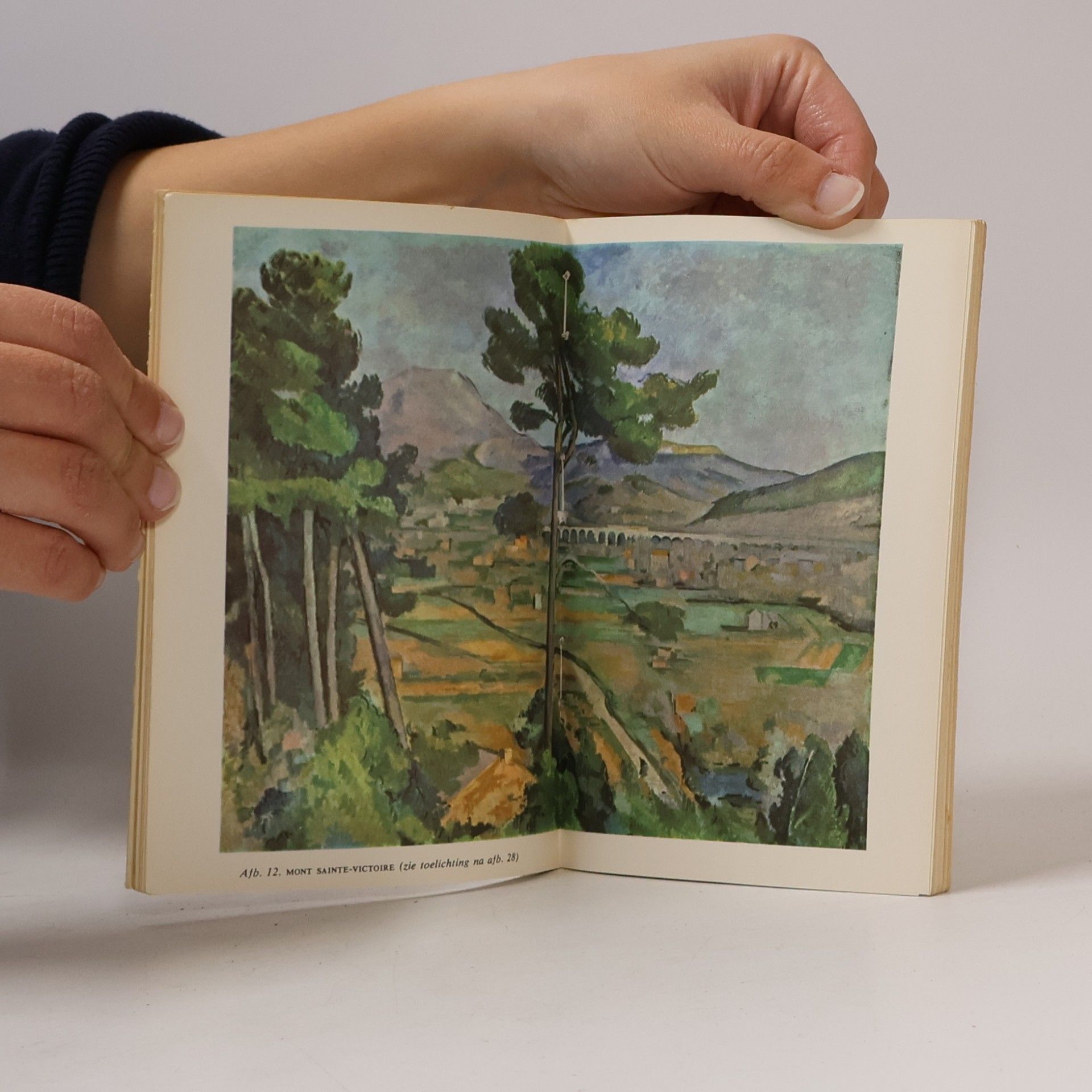 Kolektiv autorů Contact-Kunst-Pockets 3. Cézanne
