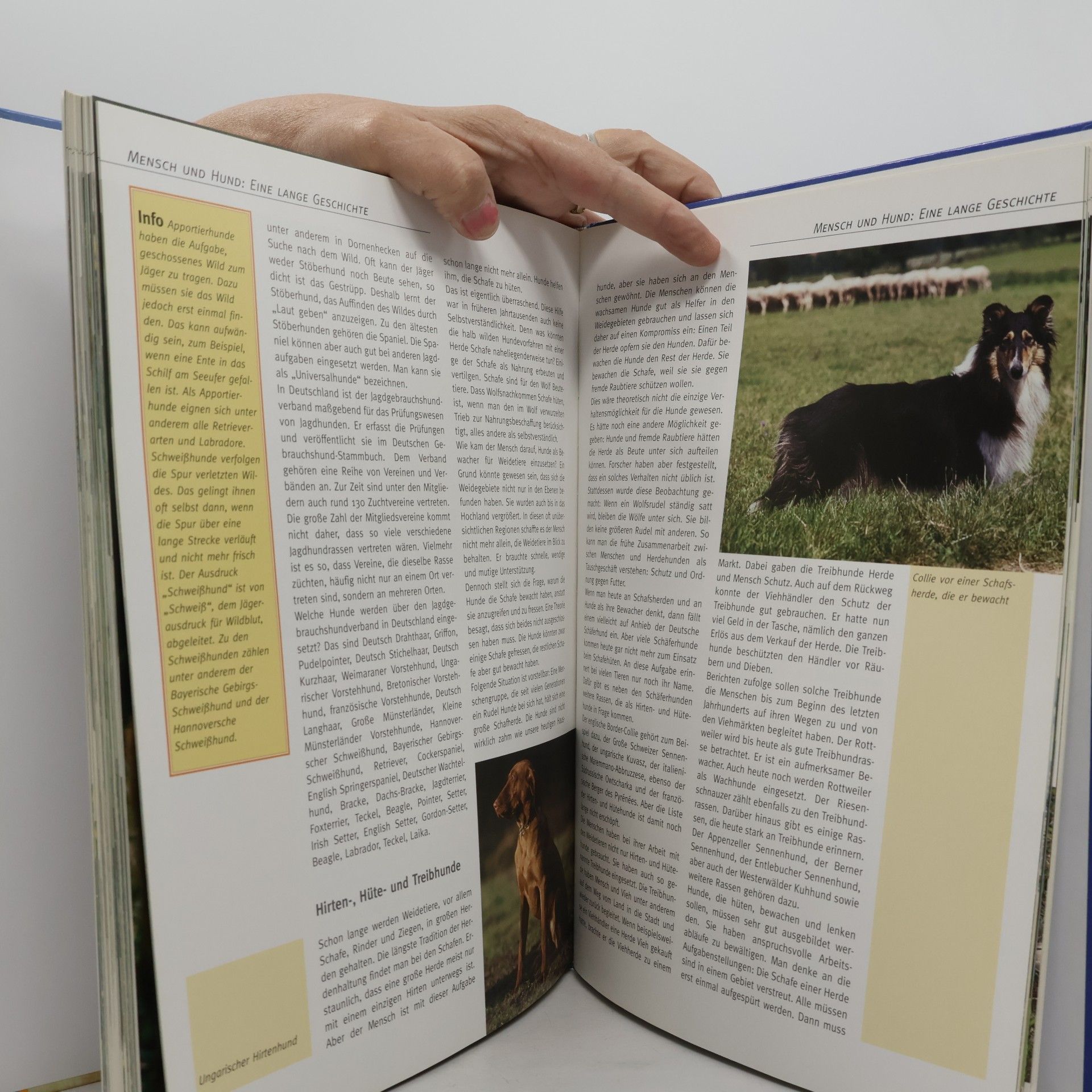 Barbara Willms Hunde