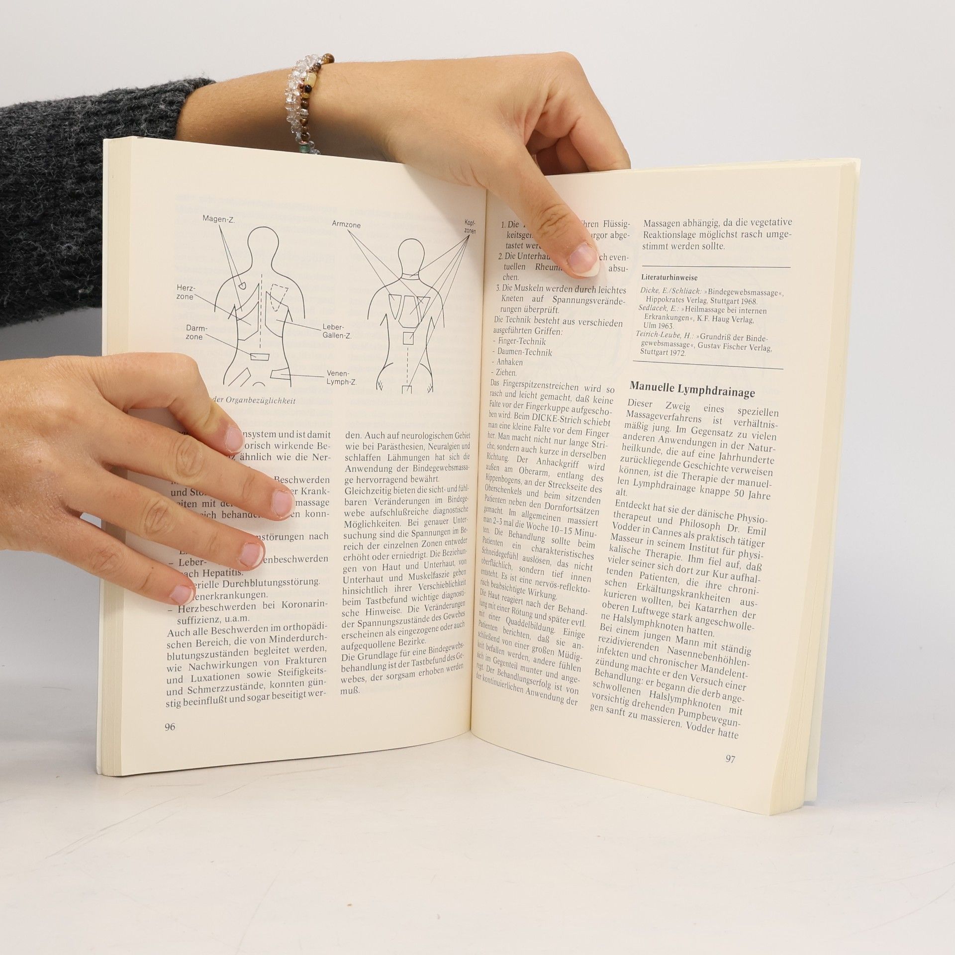 Karl F. Liebau Handbuch für die Naturheilkunde (Natur & Heilkunst)
