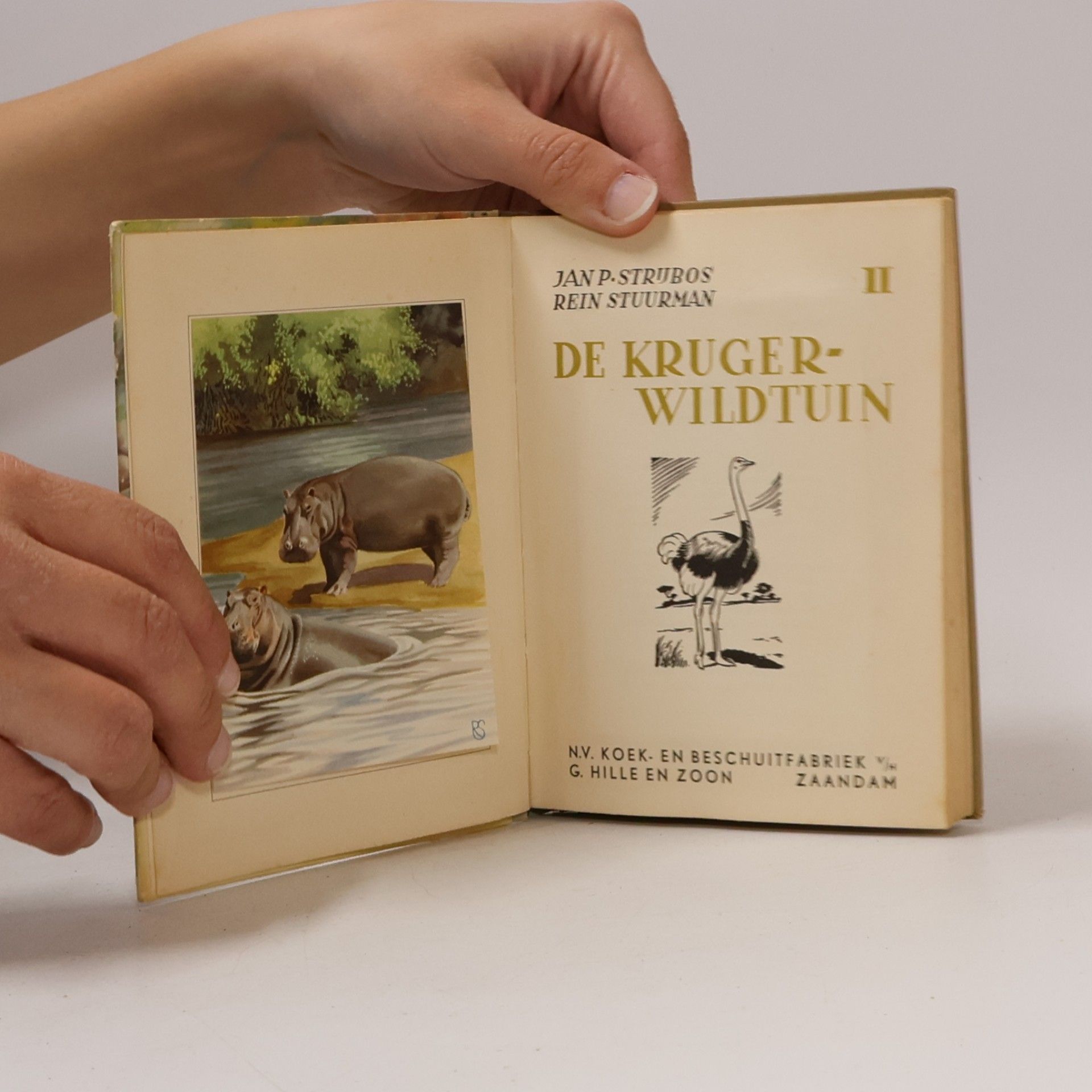 Jan P. Strijbos De Kruger-Wildtuin 2