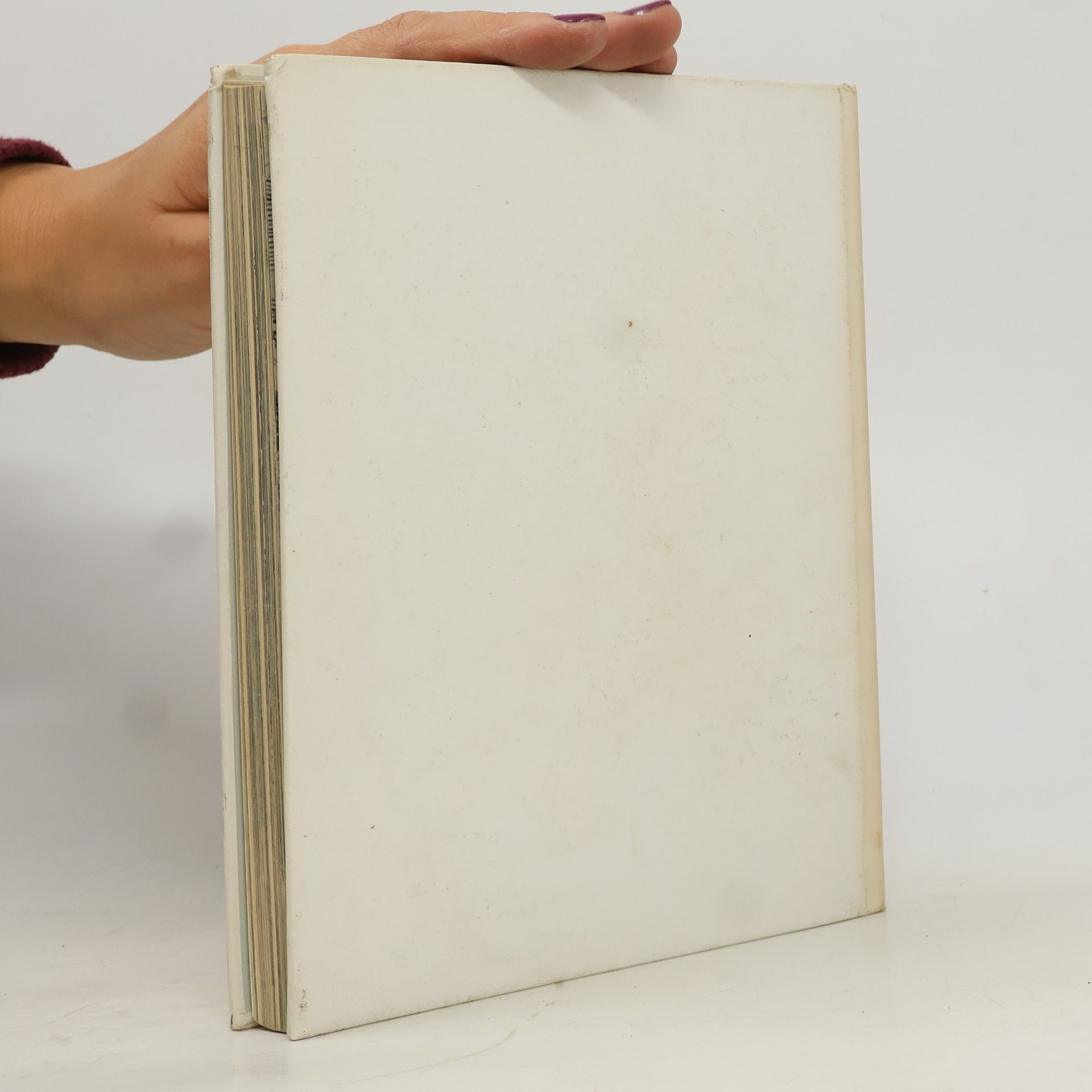 Various authors Het Grote Beatrix Boek