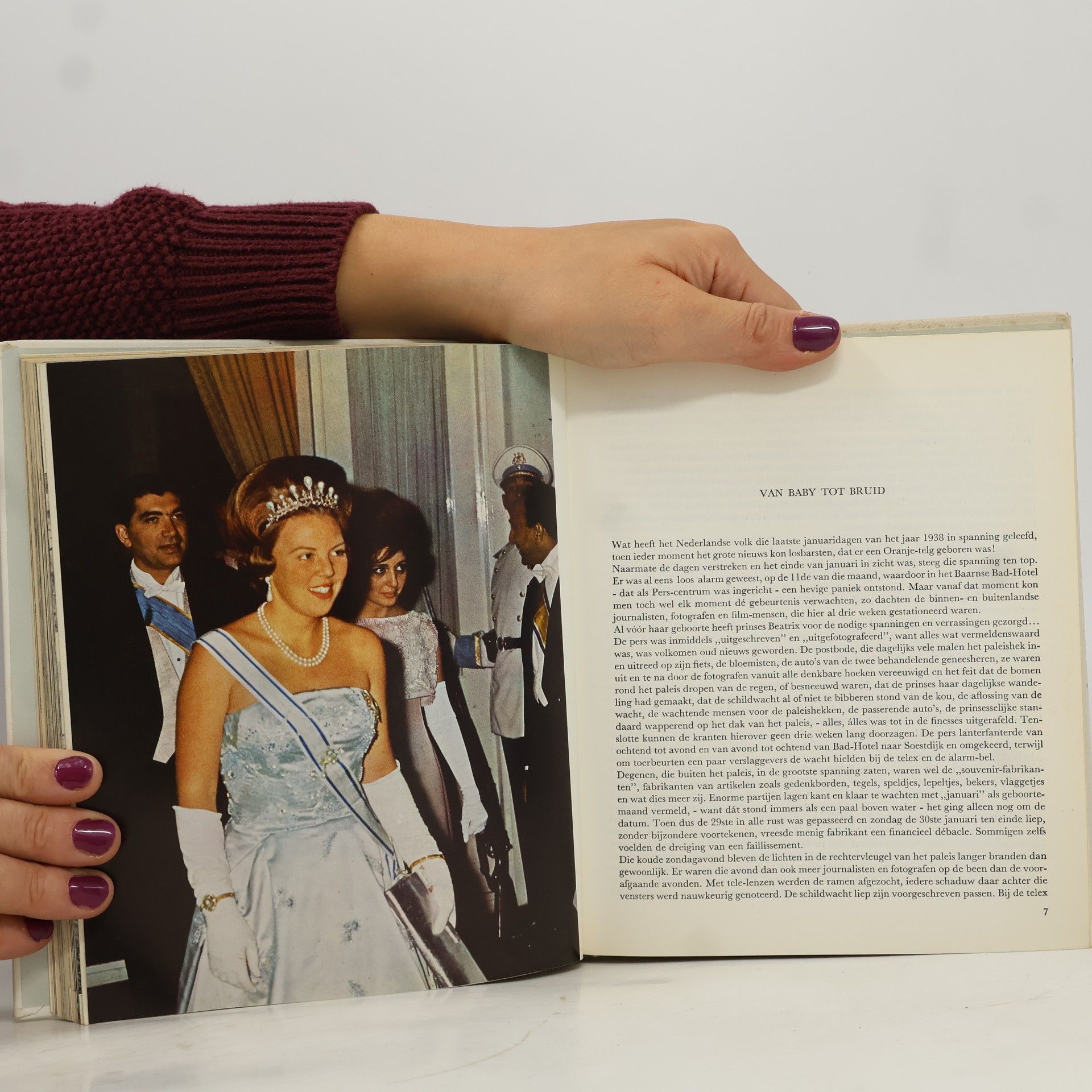 Various authors Het Grote Beatrix Boek