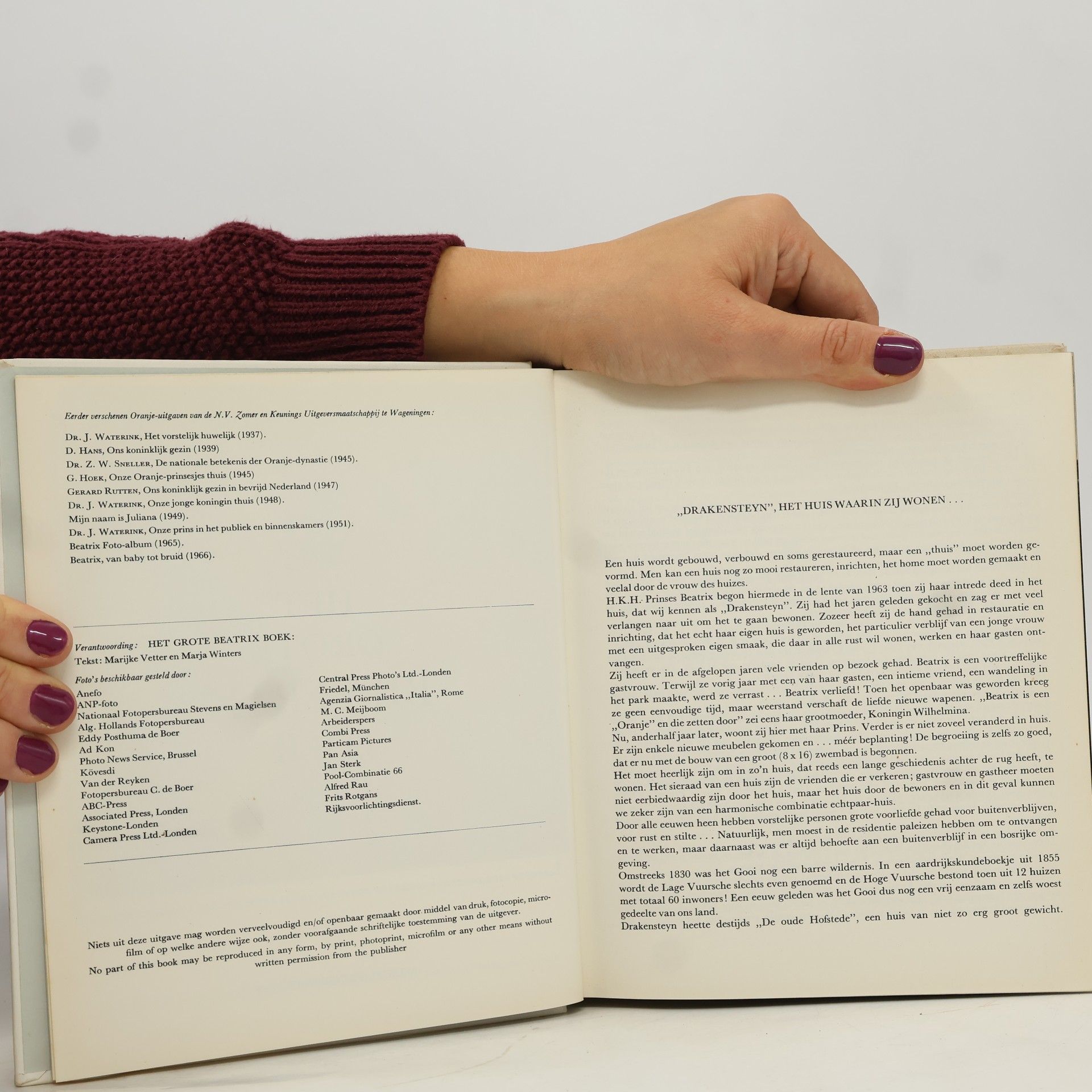 Various authors Het Grote Beatrix Boek