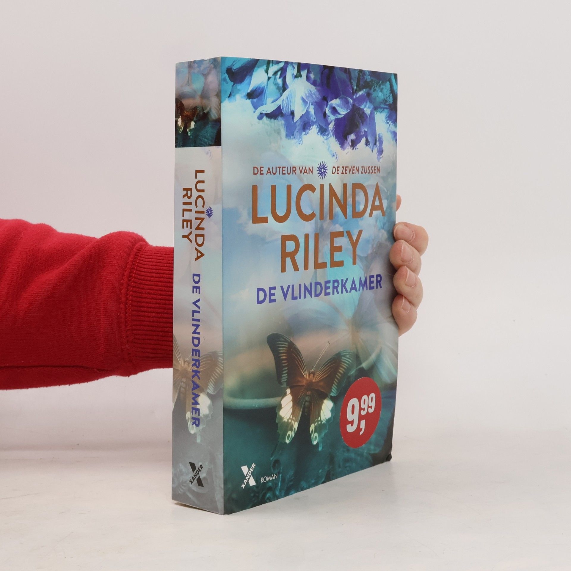 Lucinda Riley De Vlinderkamer