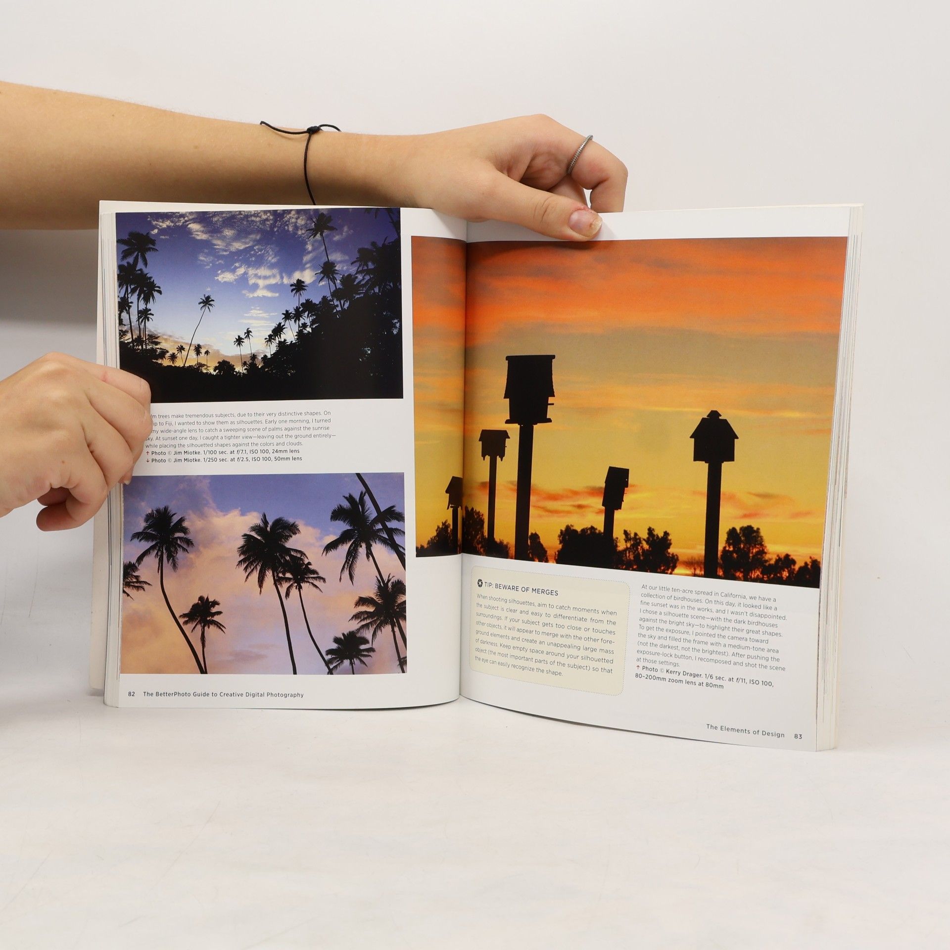 Jim Miotke The BetterPhoto Guide to Creative Digital Photography