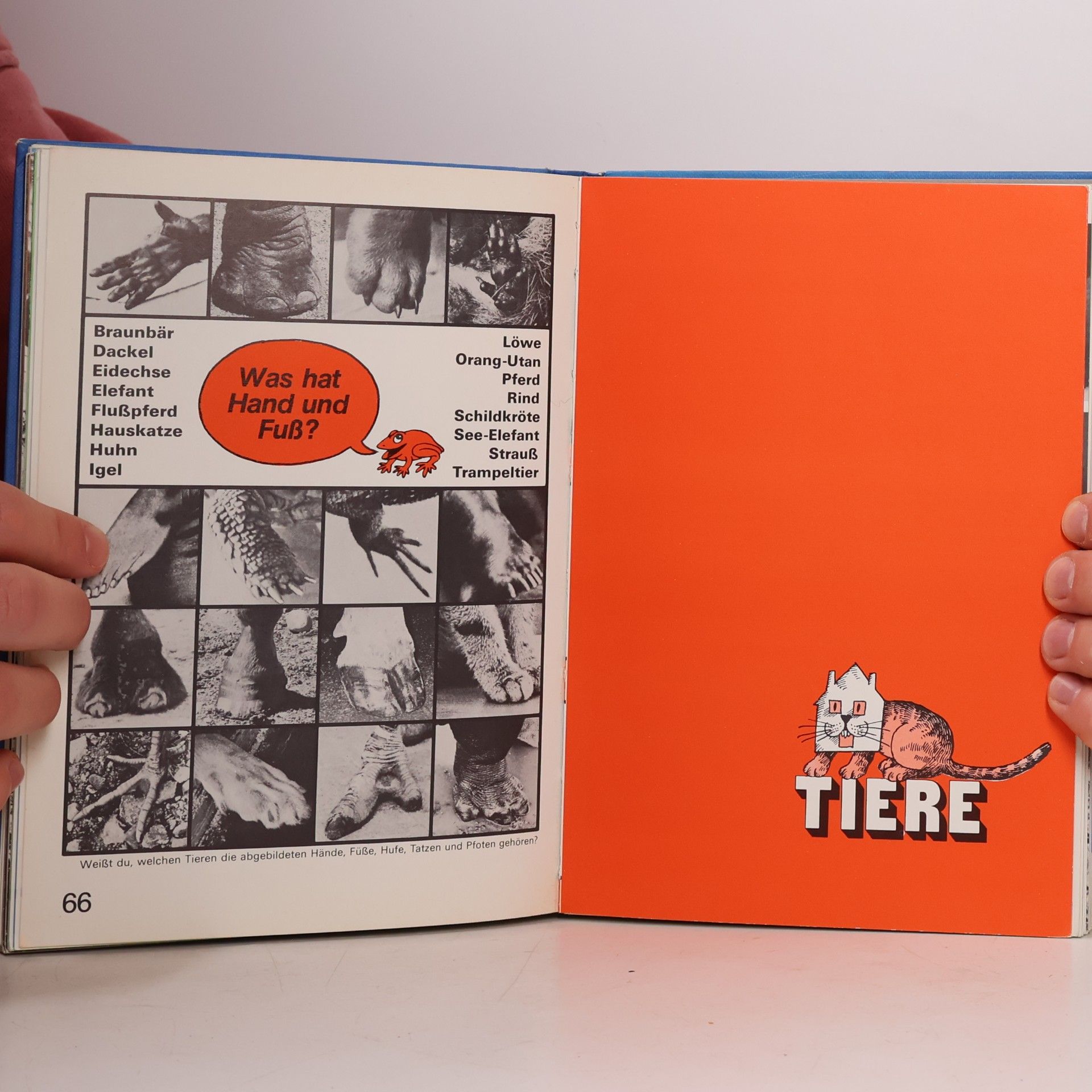 Dietrich Kirsch Kunterbuntes Tiermagazin