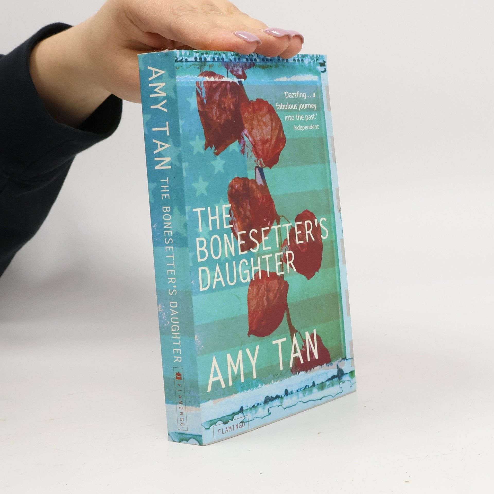 Amy Tan The Bonesetter's Daughter