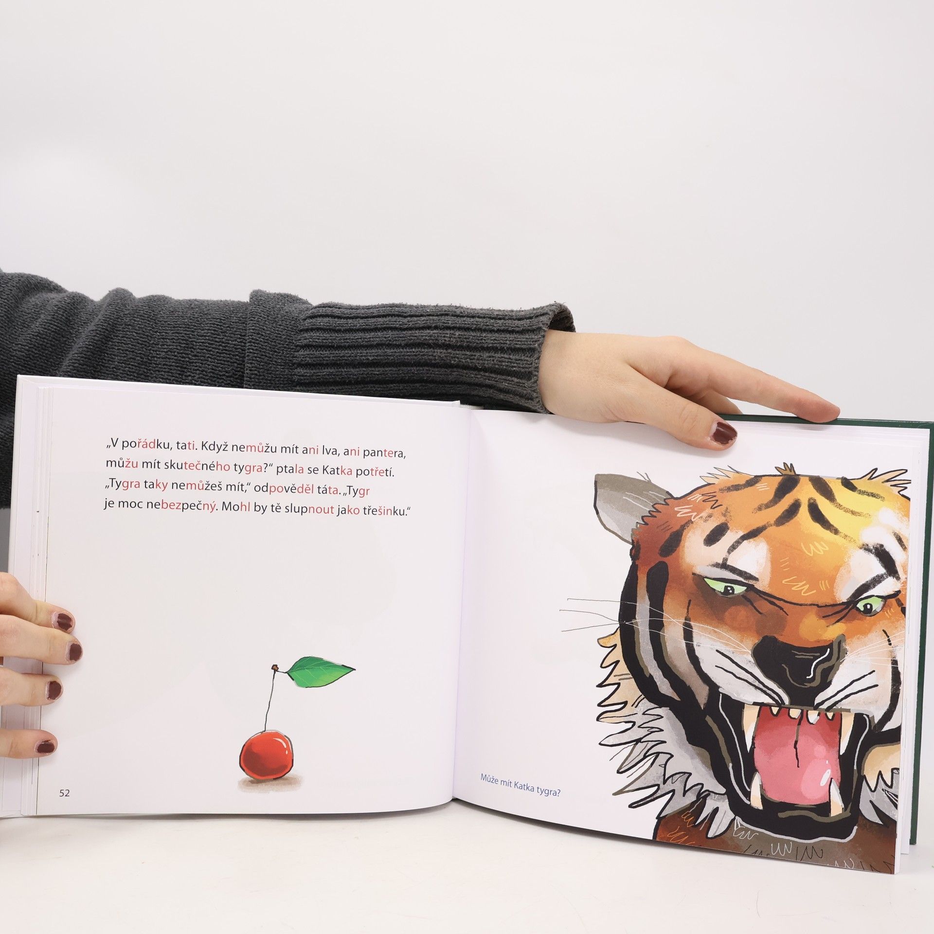 Joanna Krzyżanek Dorotka a sedm koček : pozorné čtení (po slabikách)