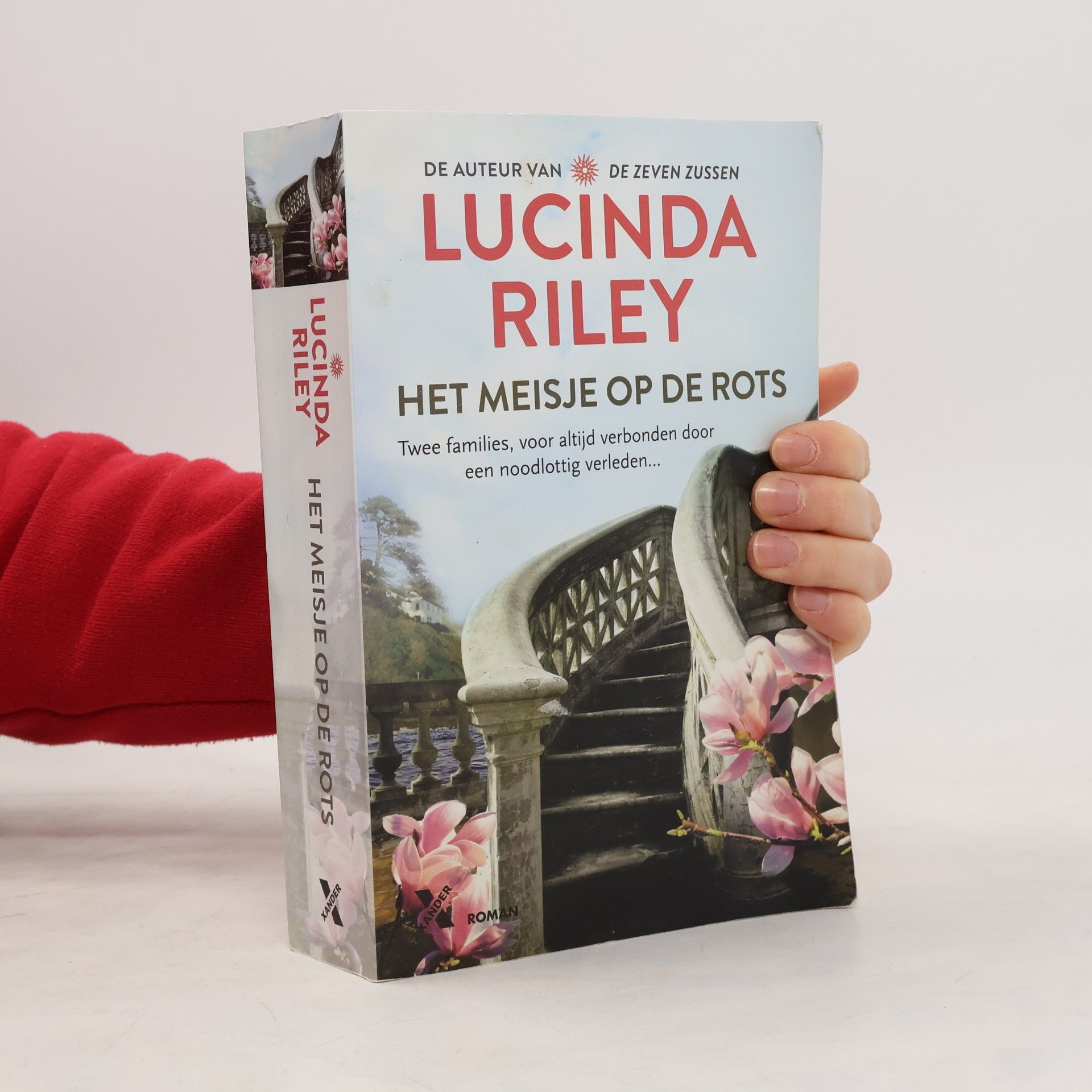 Het meisje op de rots