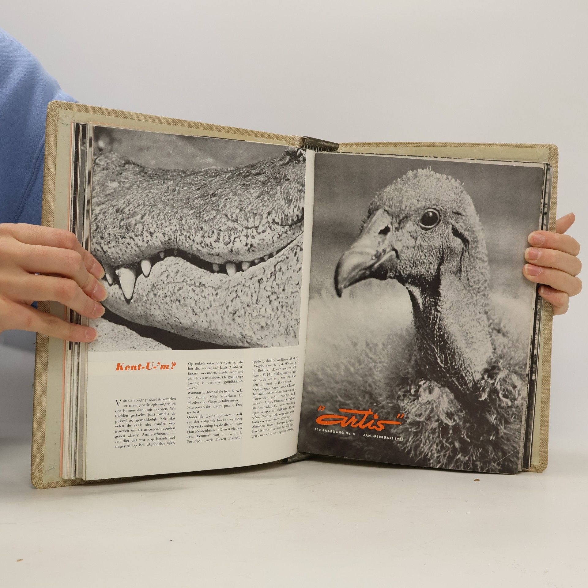J. Bokma Artis 2