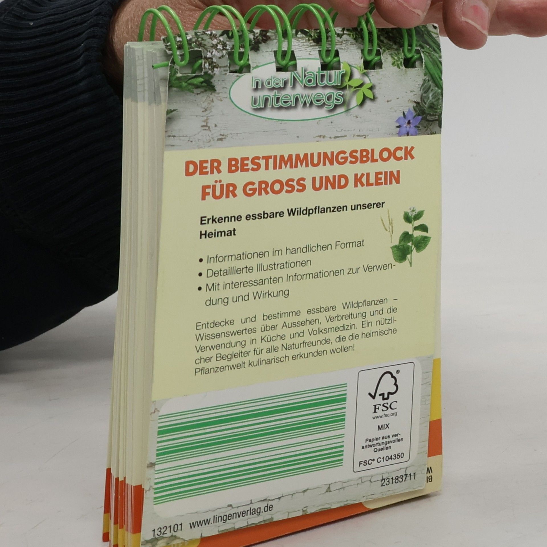 Kolektiv autorů Essbare Wildpflanzen