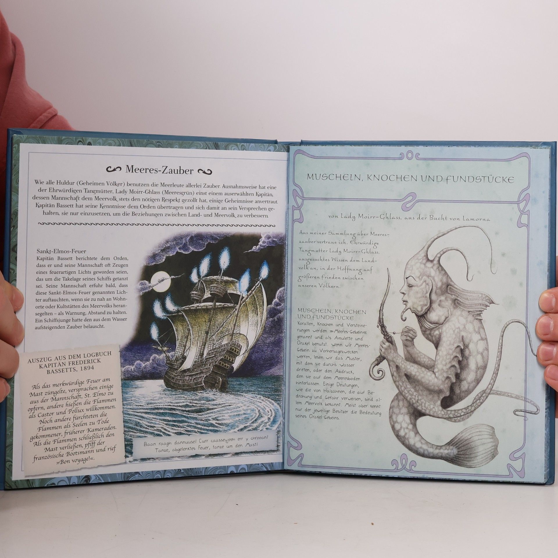 Ari Berk Geheimnisvolle Welt der Meerjungfrauen und andere verborgene Wesen der See oder Liber Aquaticum