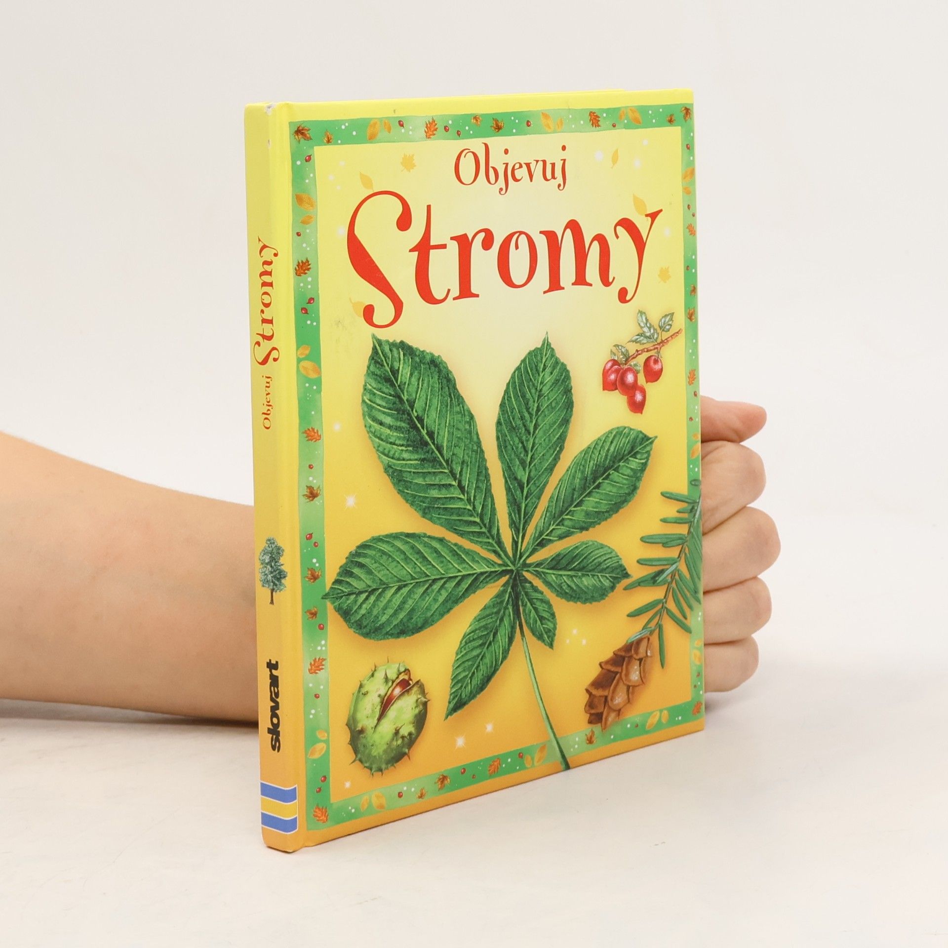 Stromy