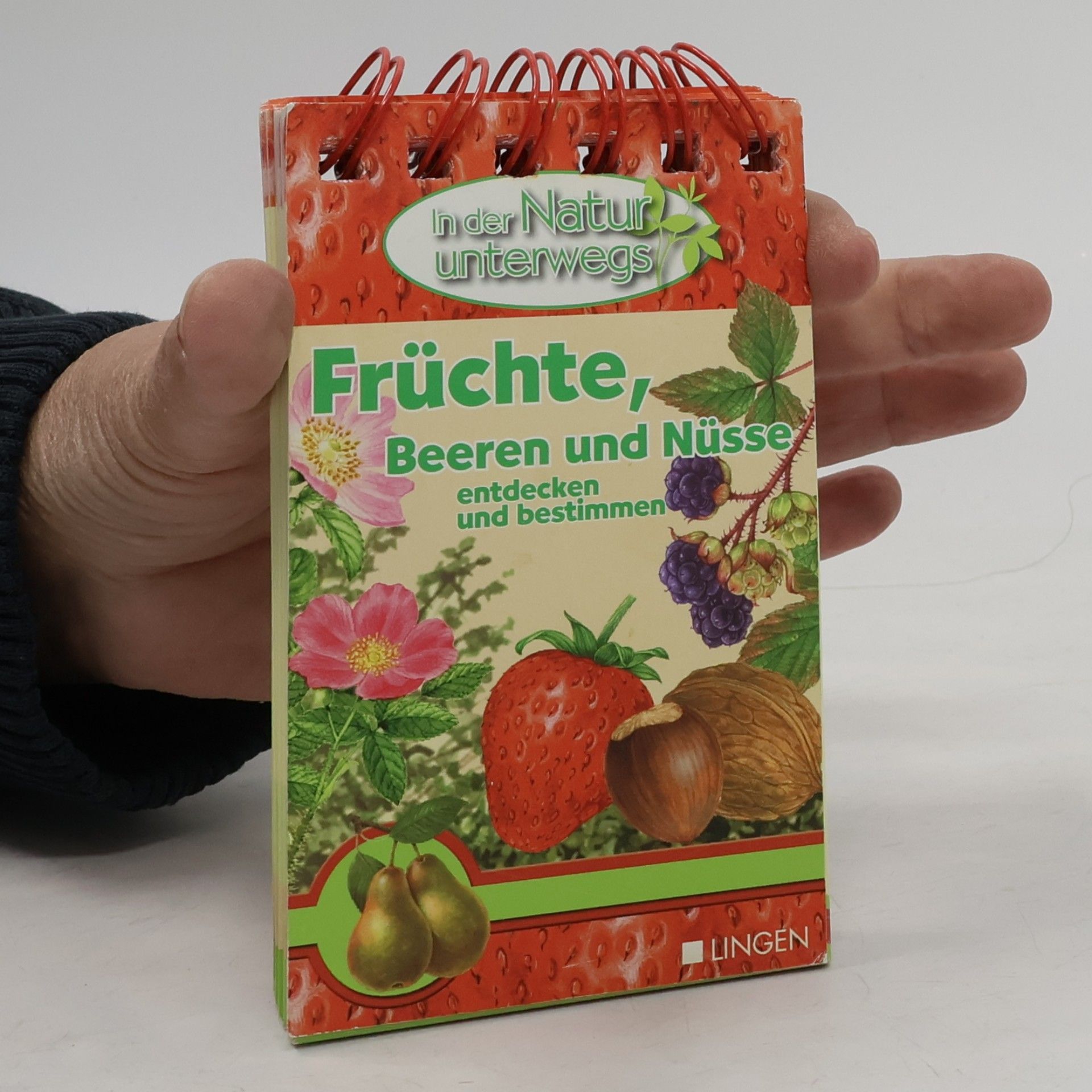 Kolektiv autorů Früchte. Beeren und Nüsse entdecken und bestimmen