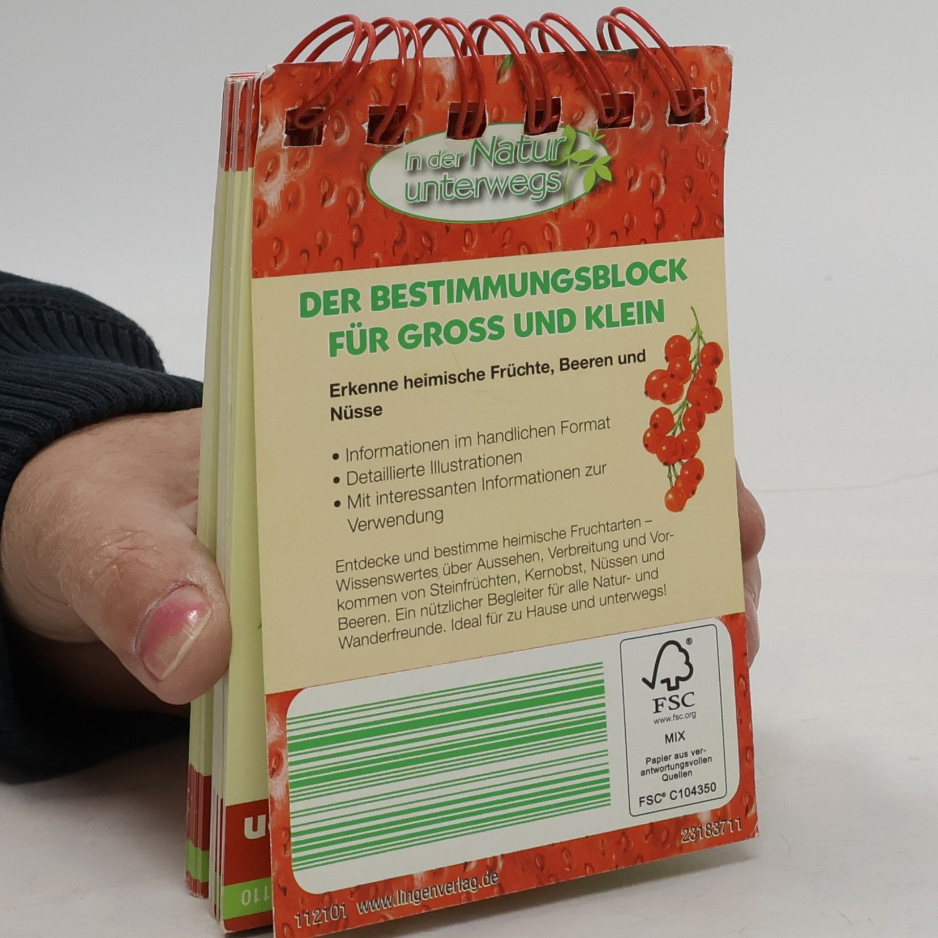 Kolektiv autorů Früchte. Beeren und Nüsse entdecken und bestimmen