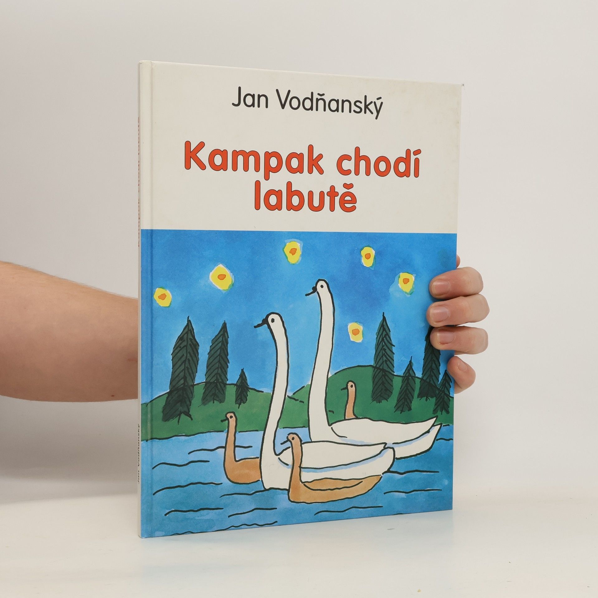 Kampak chodí labutě