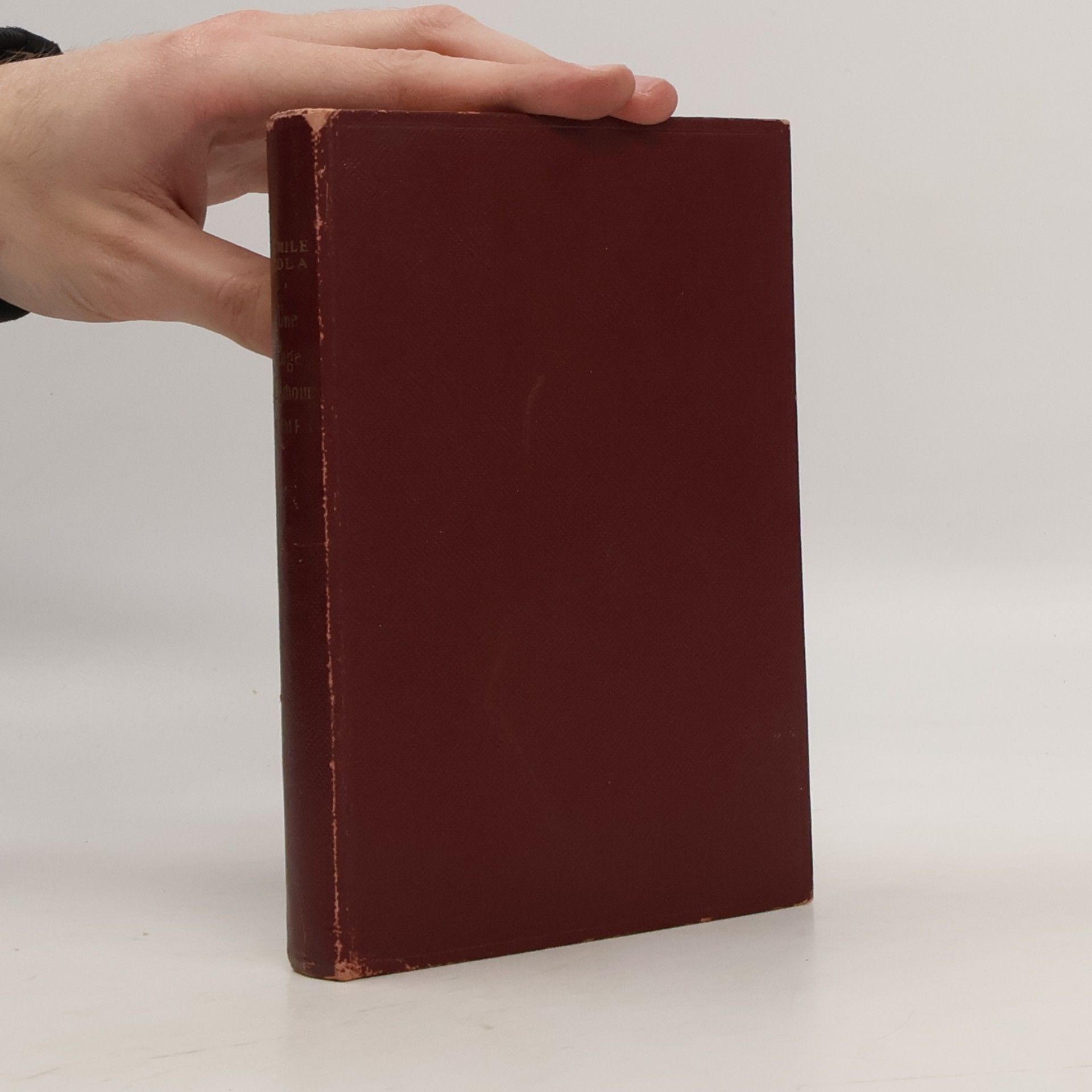 Émile Zola Une Page d'Amour 1
