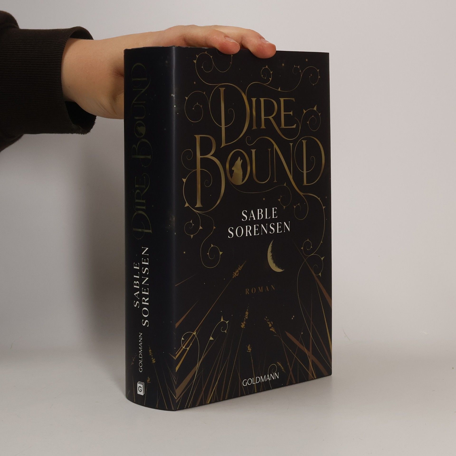 Die Wolves-of-Ruin Reihe - 1: Dire Bound