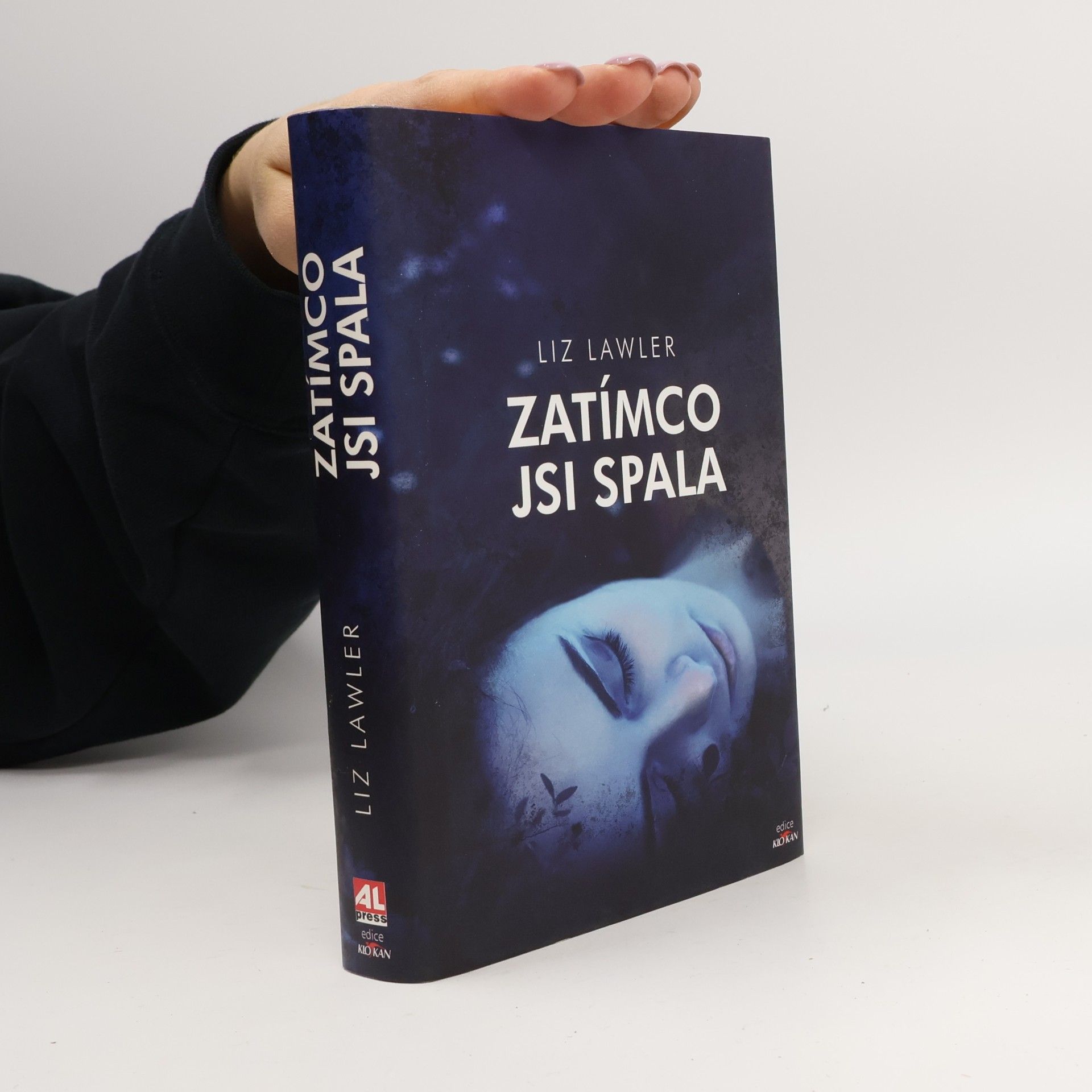 Liz Lawler Zatímco jsi spala