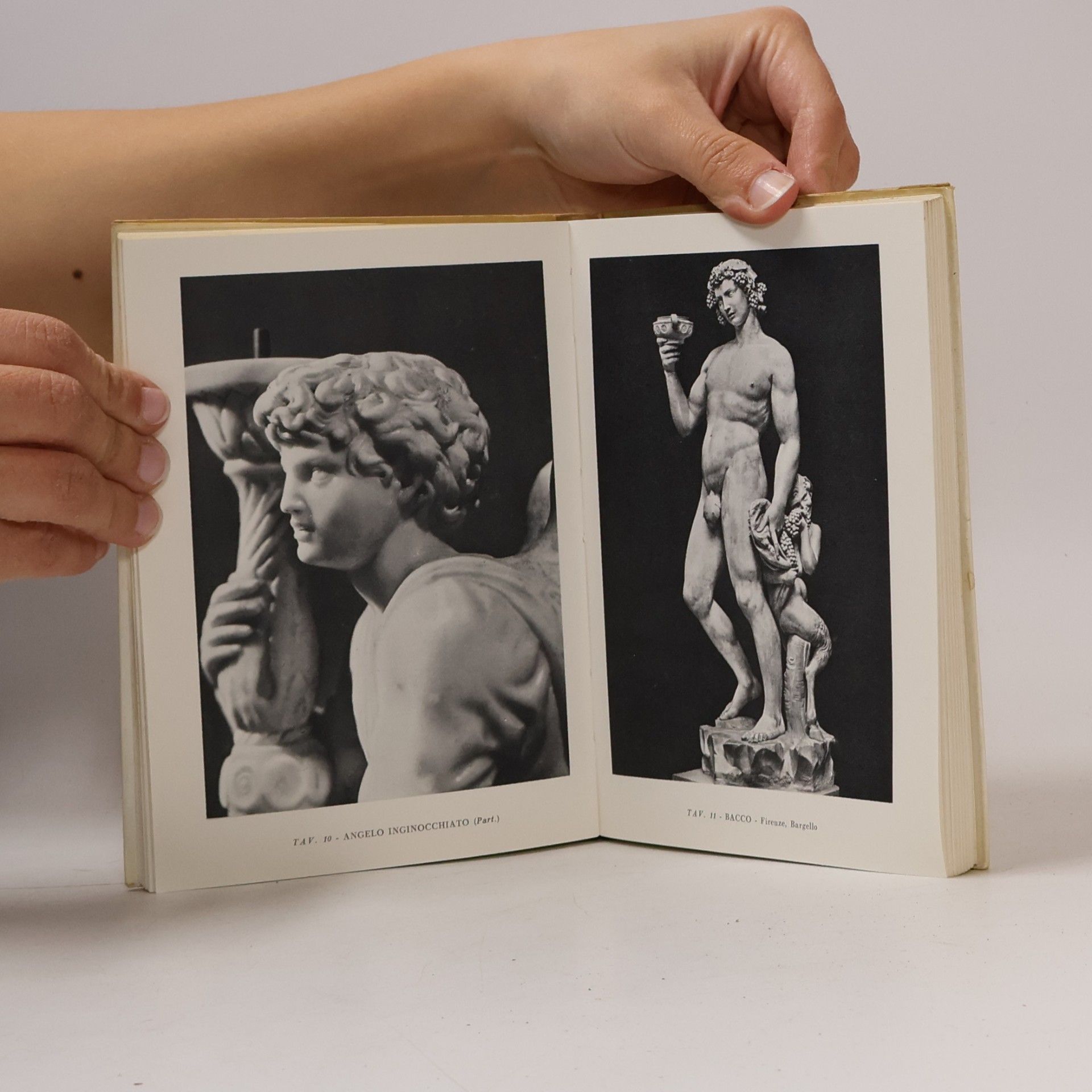 Franco Russoli Tutta la scultura di Michelangelo