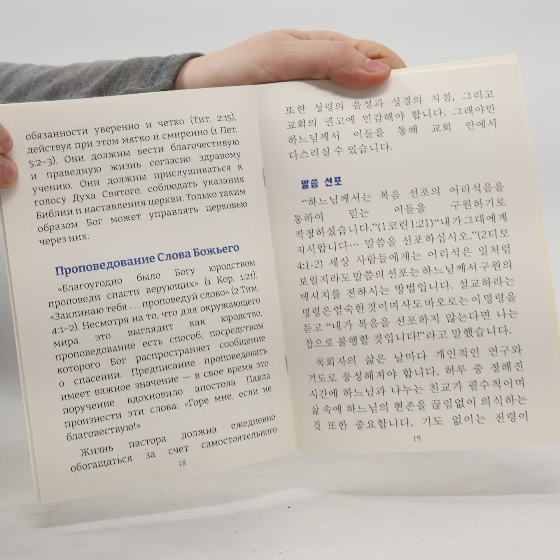 Kolektiv autorů Руководство пастора 1. 목회자 지침서