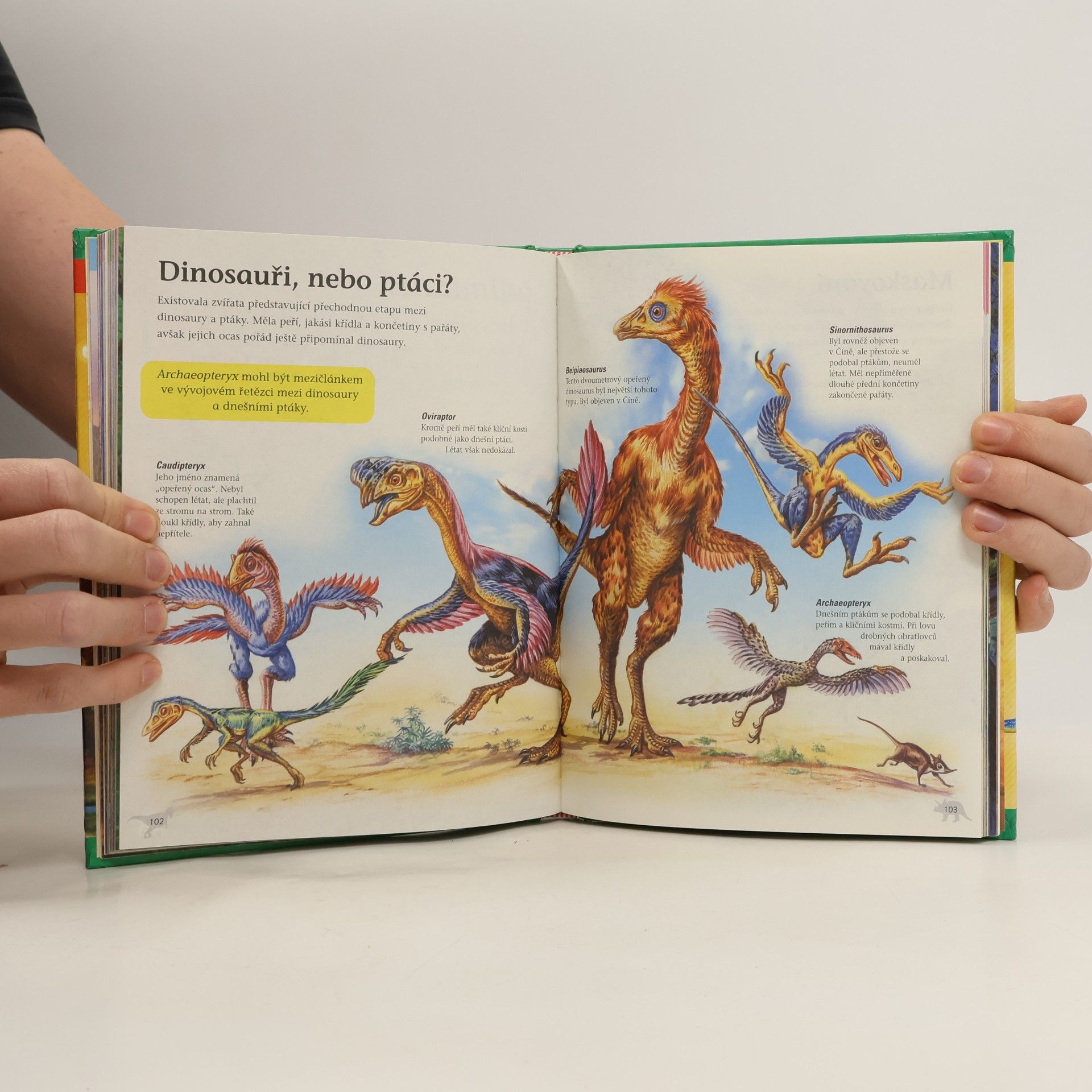 Lidia Di Blasi Dinosauři : zábavná encyklopedie