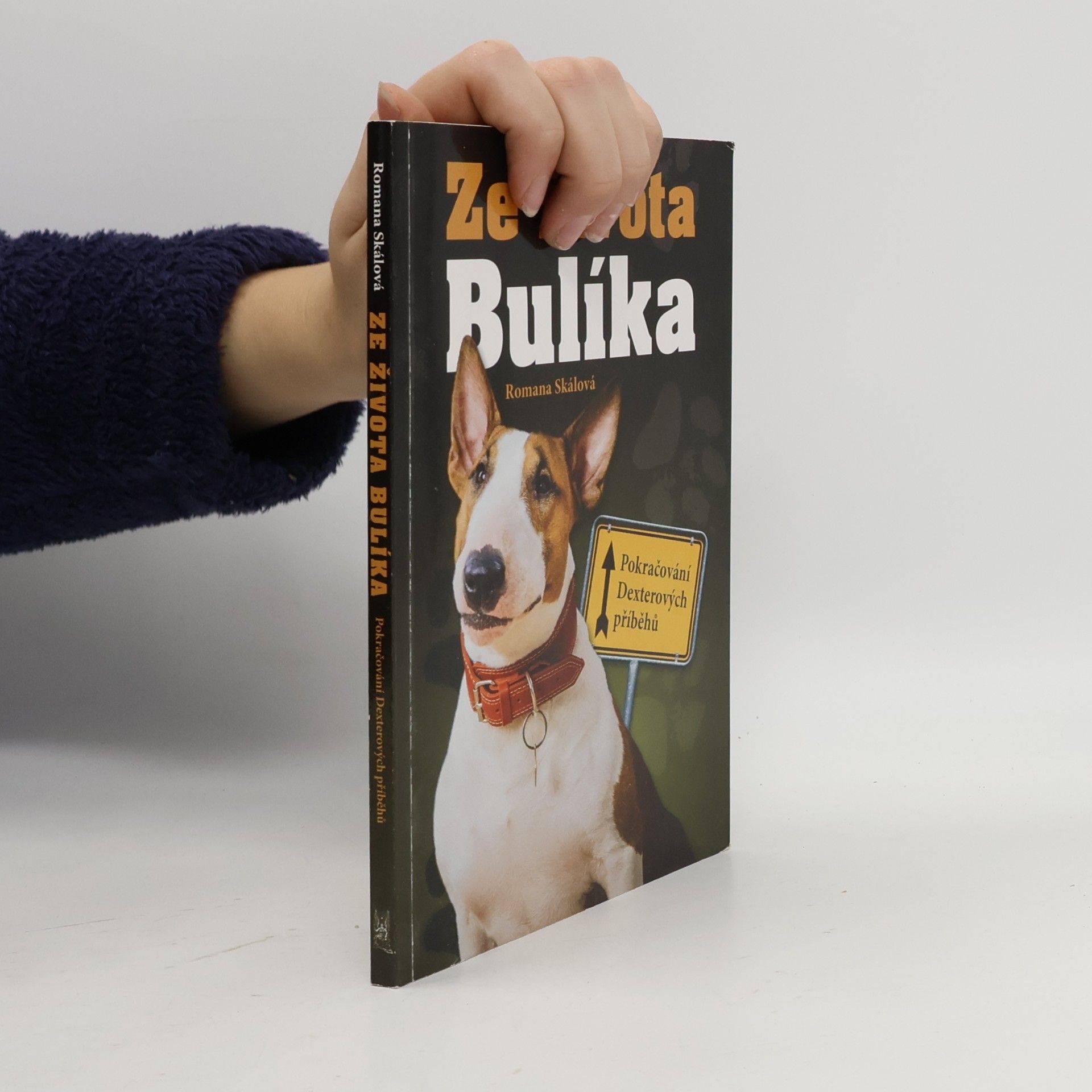 Romana Skálová Ze života Bulíka - Pokračování Dexterových příběhů