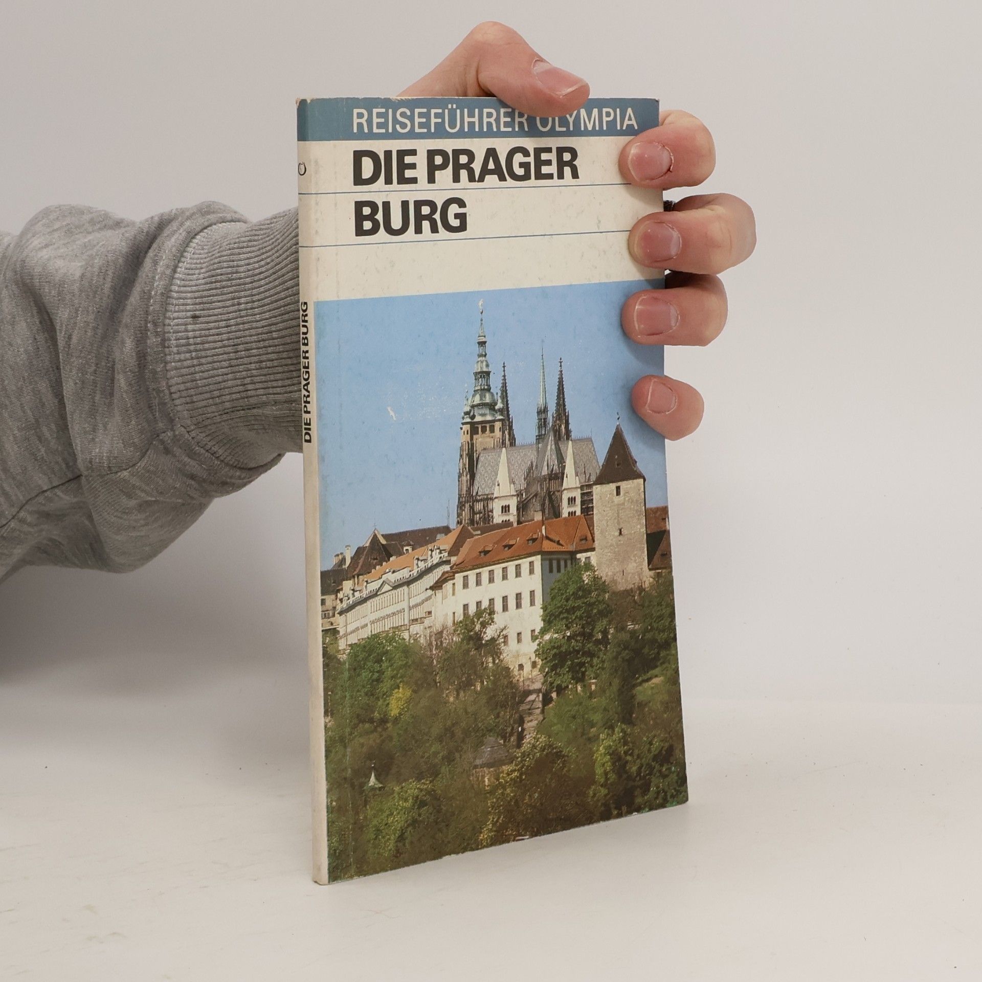 Die Prager Burg