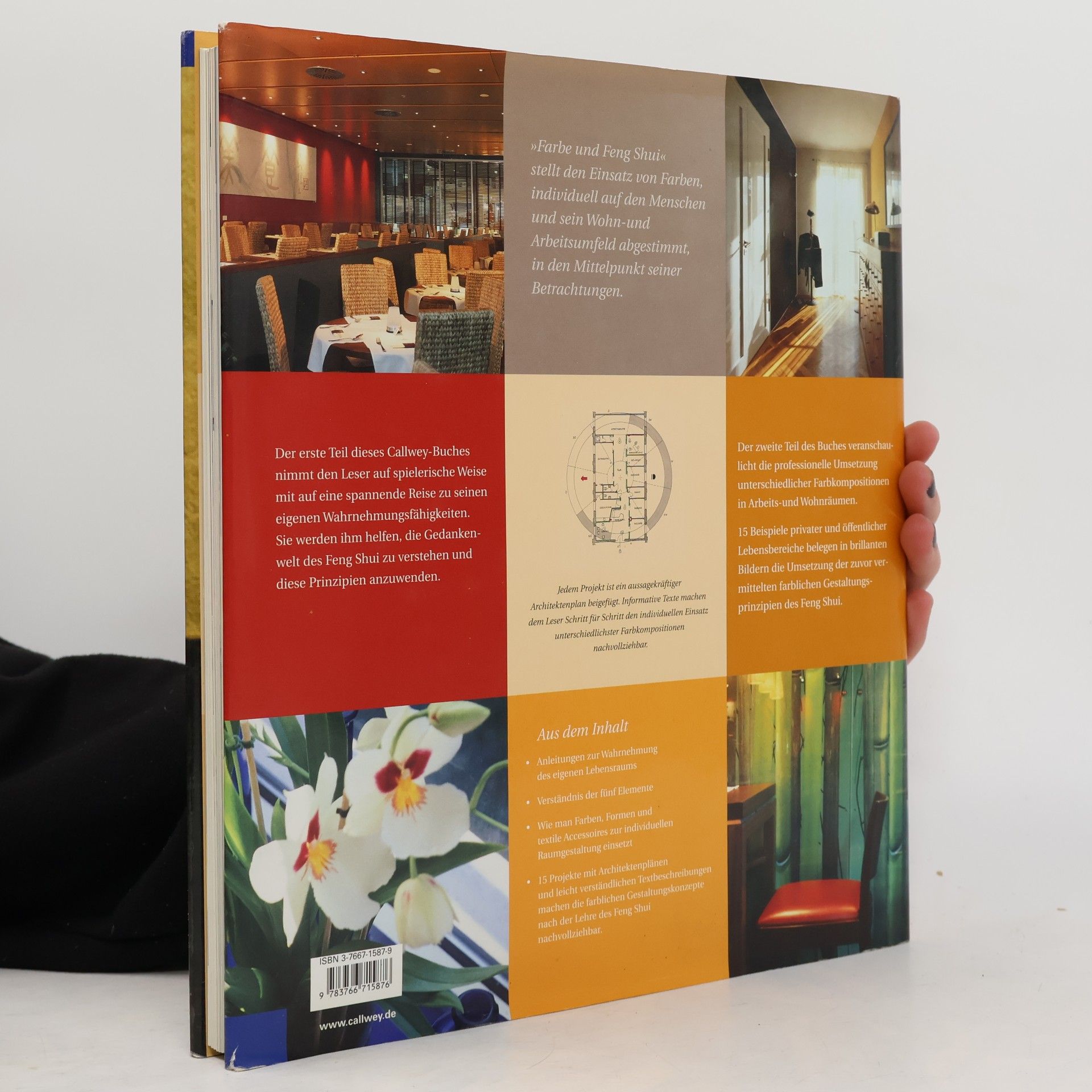 Gudrun Mende Farbe und Feng-Shui
