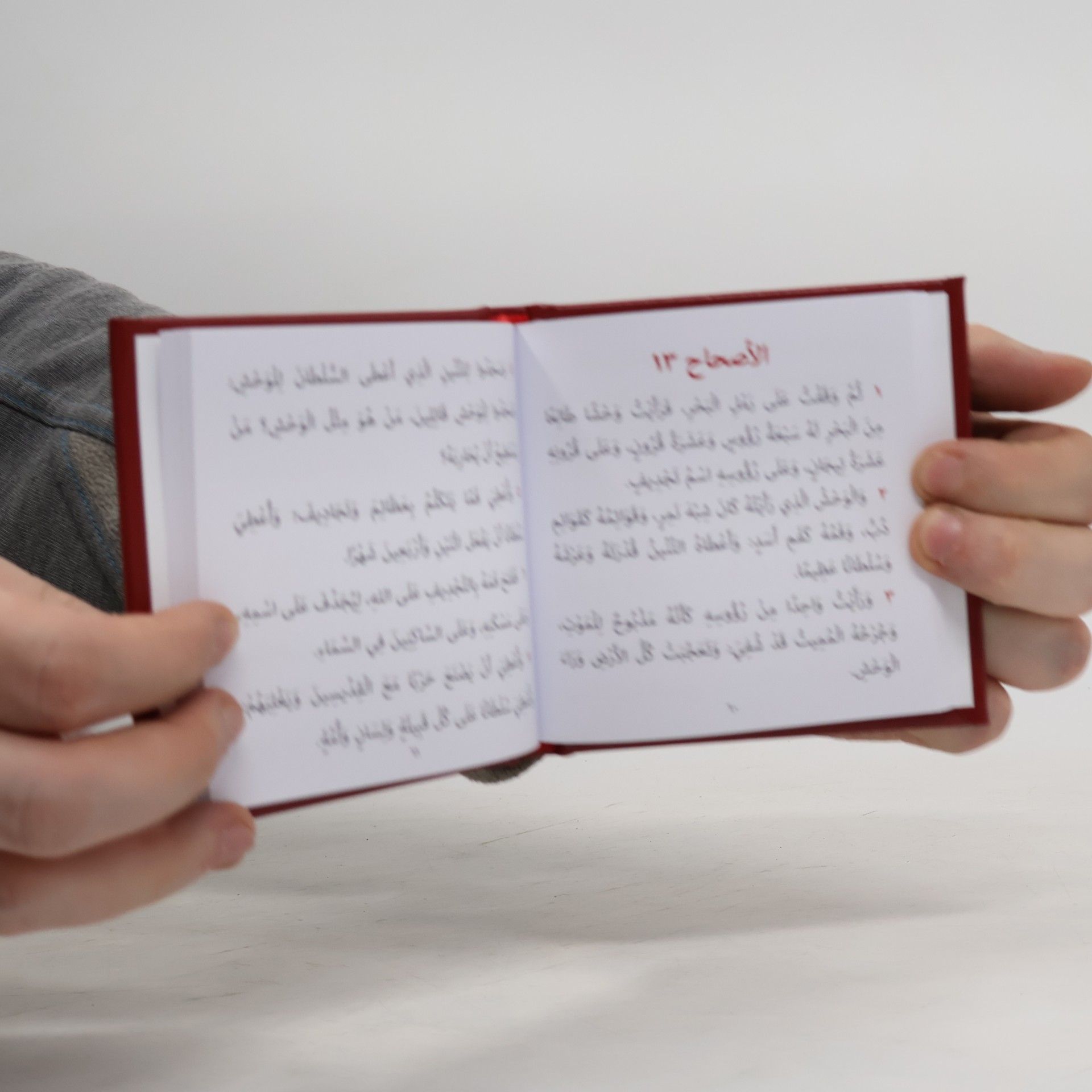 Autorenkollektiv سفر الرؤيا