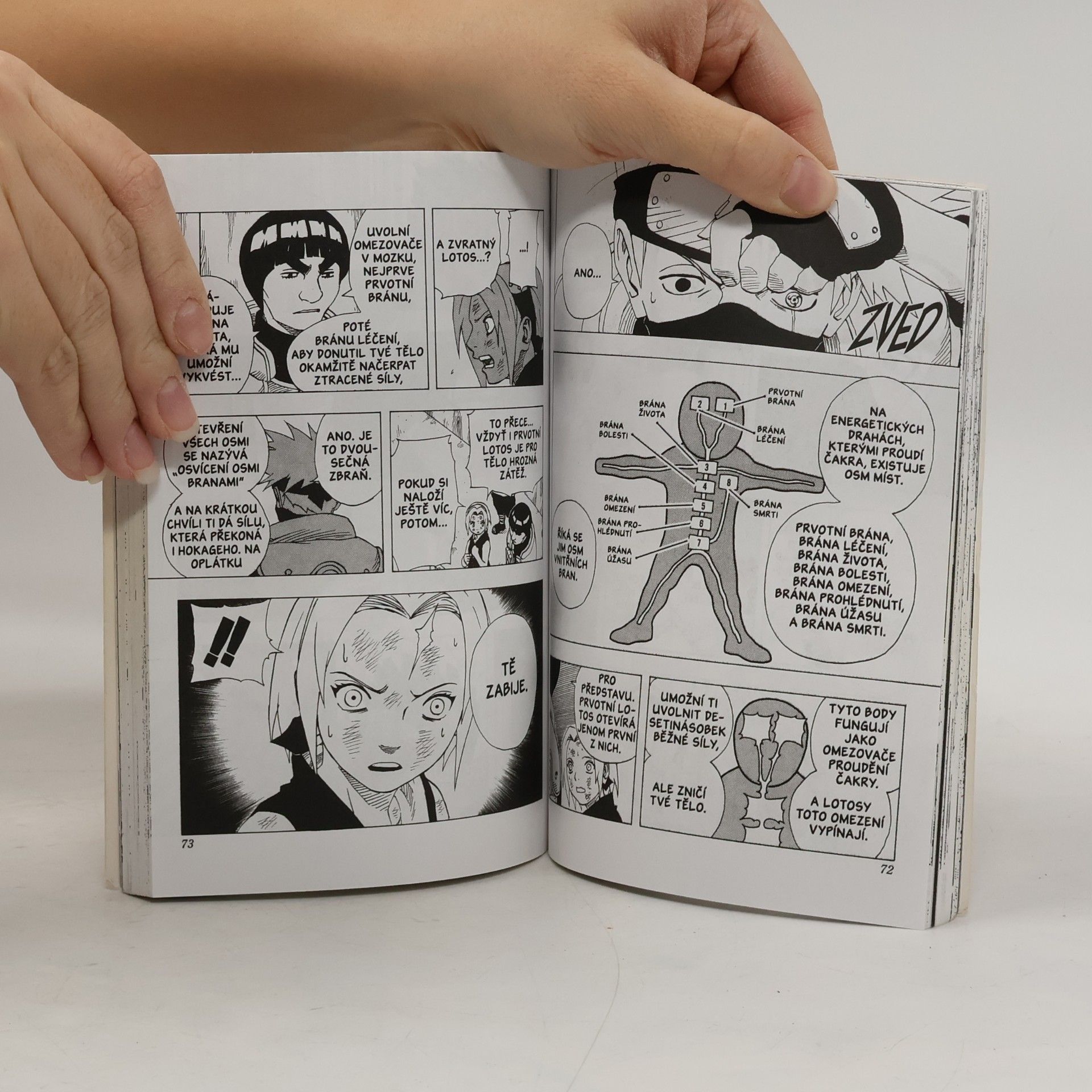 Masashi Kishimoto Naruto 10
