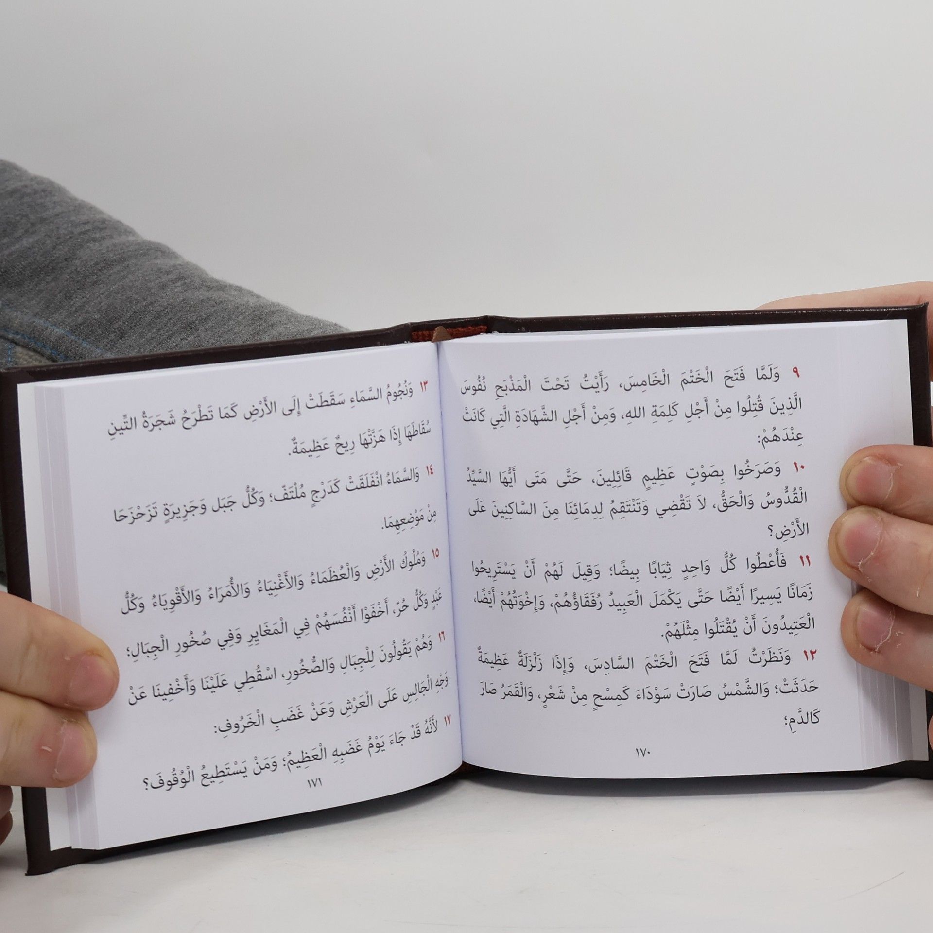 Autorenkollektiv إنجيل يوحنا & سفر الرؤيا