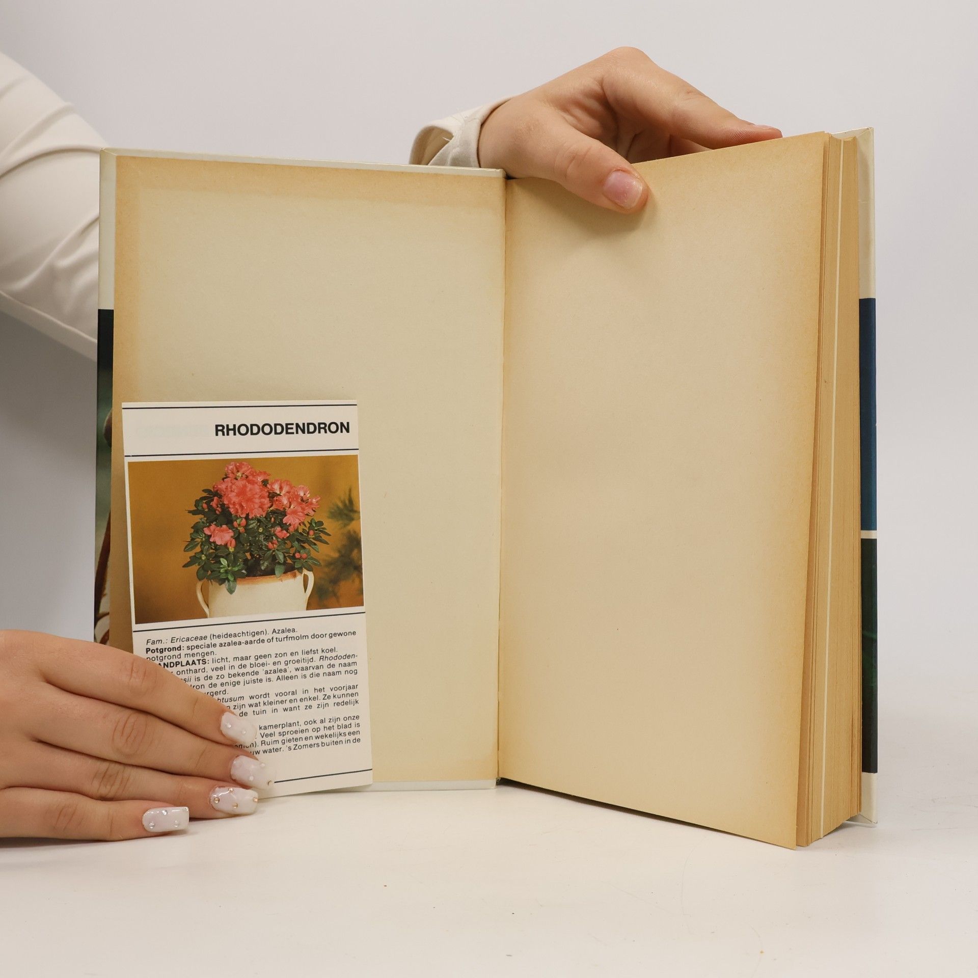 Various authors Groot bloemen en planten boek