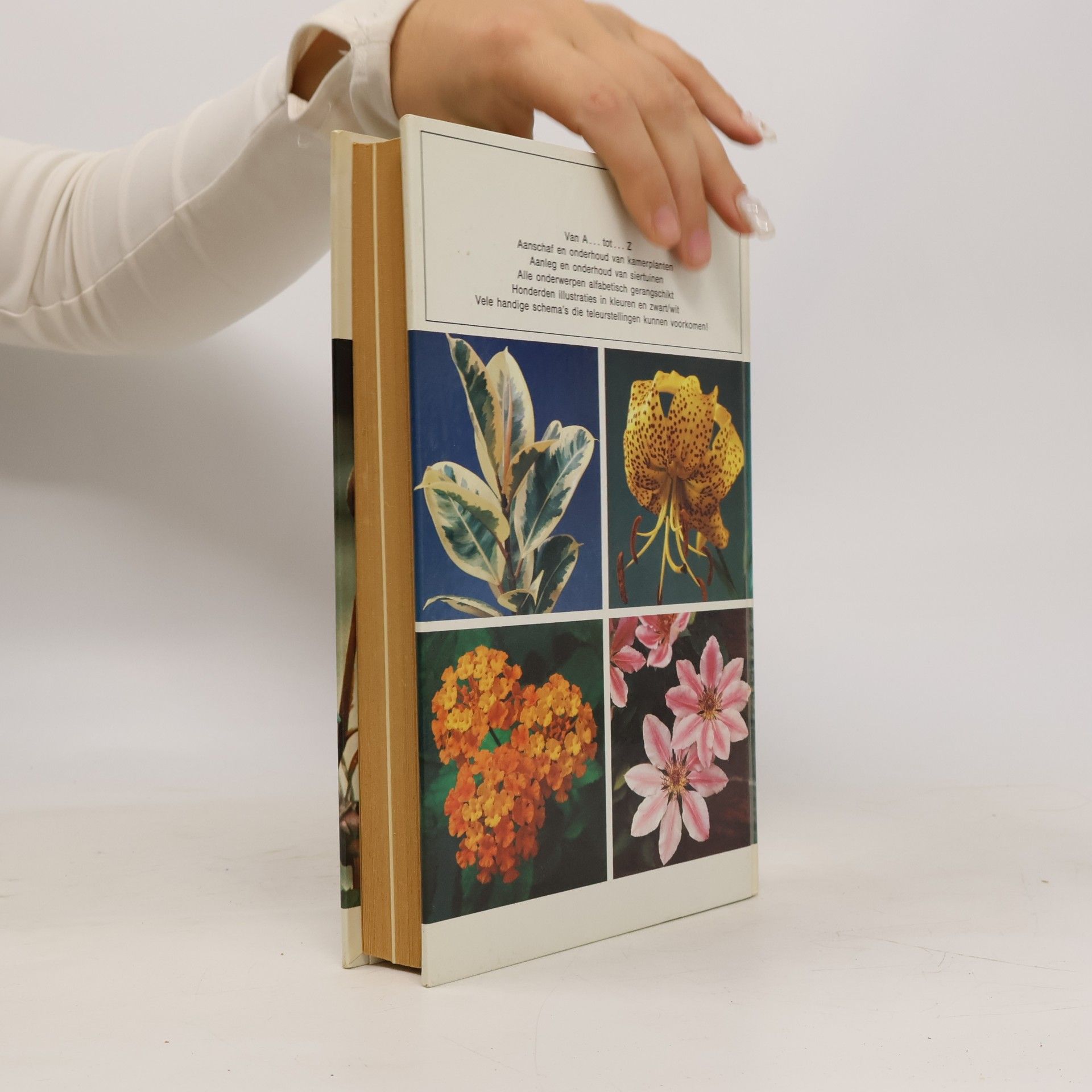 Various authors Groot bloemen en planten boek