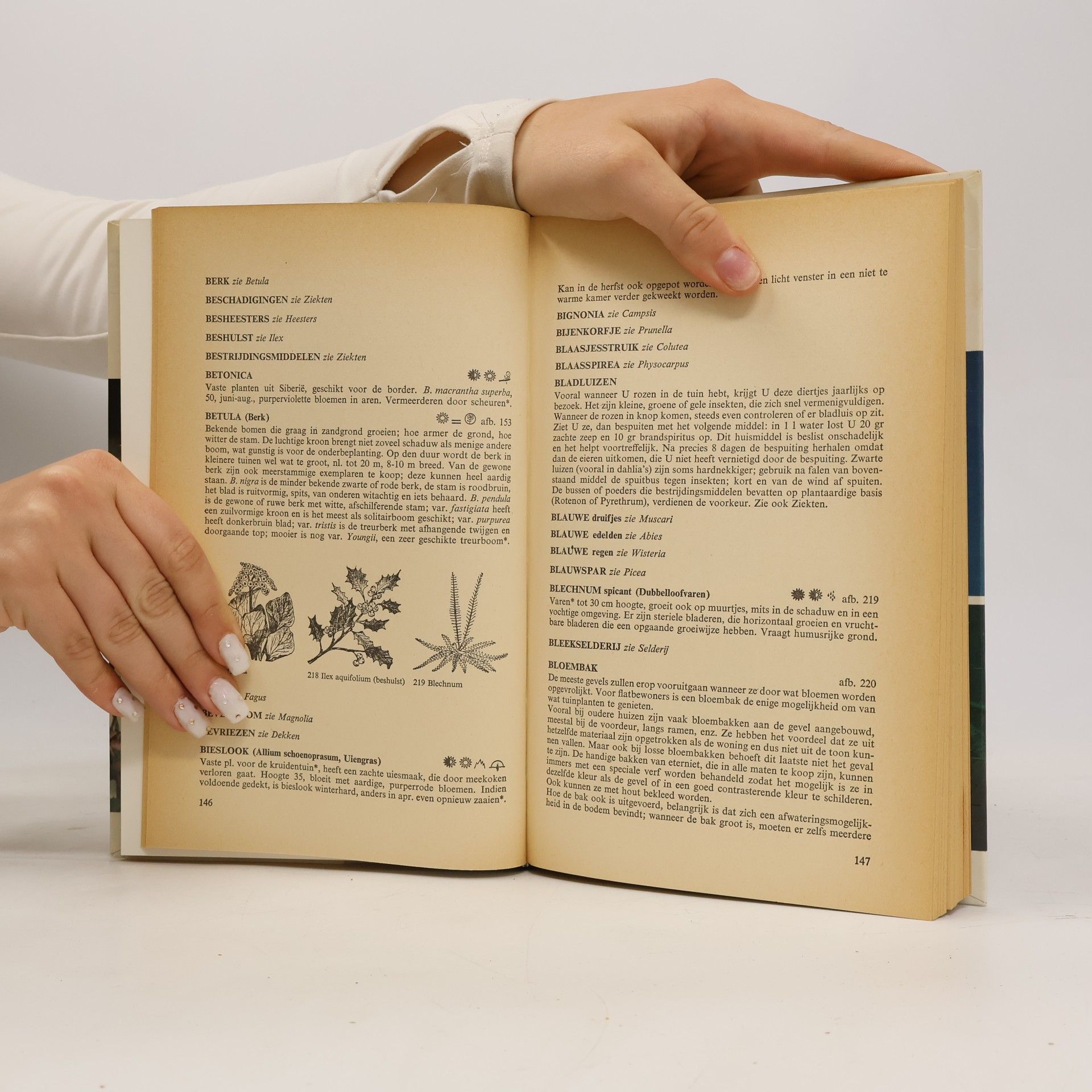 Various authors Groot bloemen en planten boek