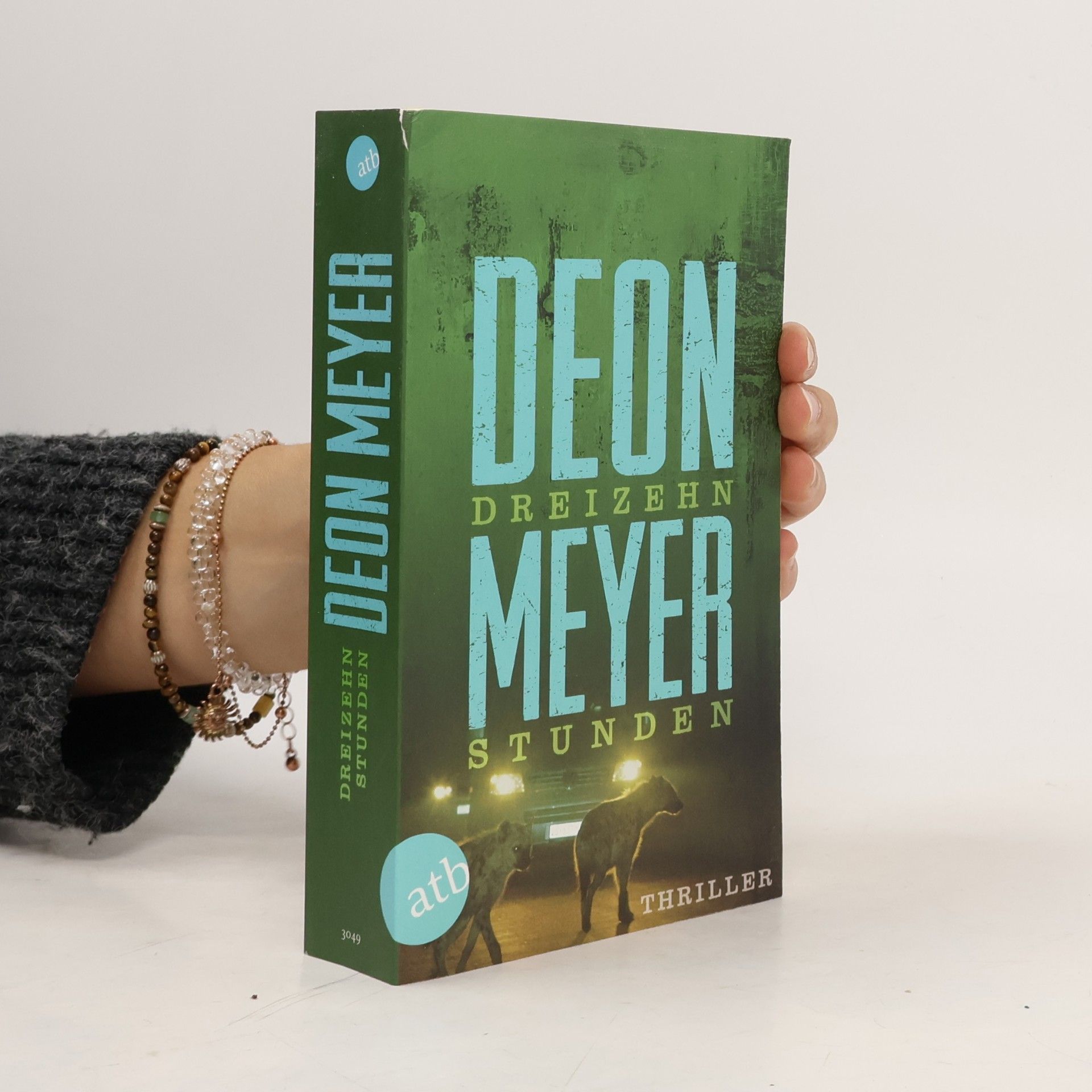 Deon Meyer Dreizehn Stunden