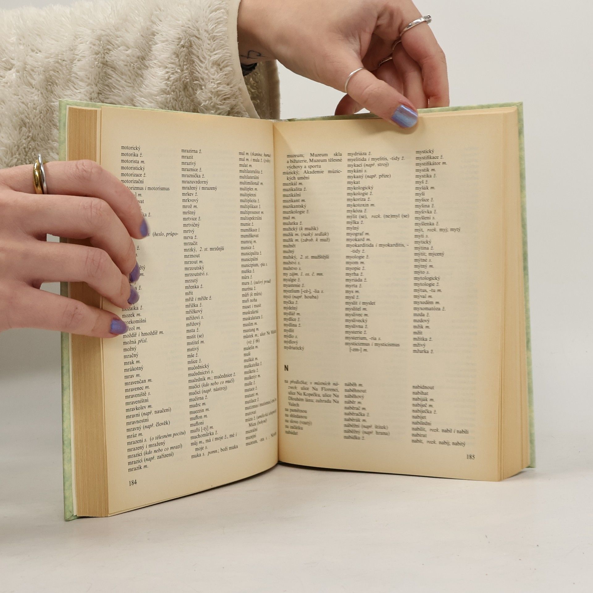 Collectif d'auteurs Akademická pravidla českého pravopisu
