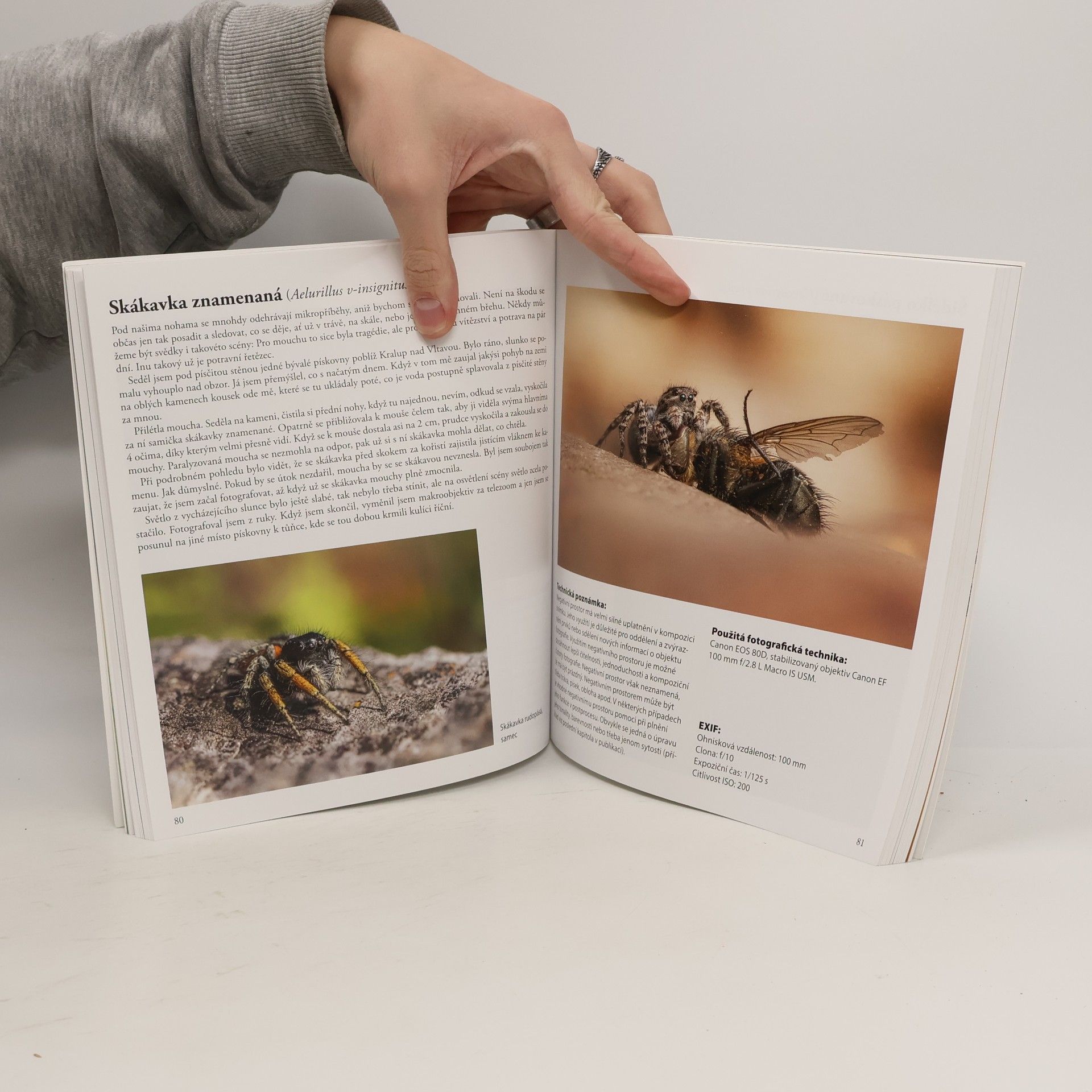 Jan Štěpnička Fotografujeme přírodu : objektivem Honzy Štěpničky